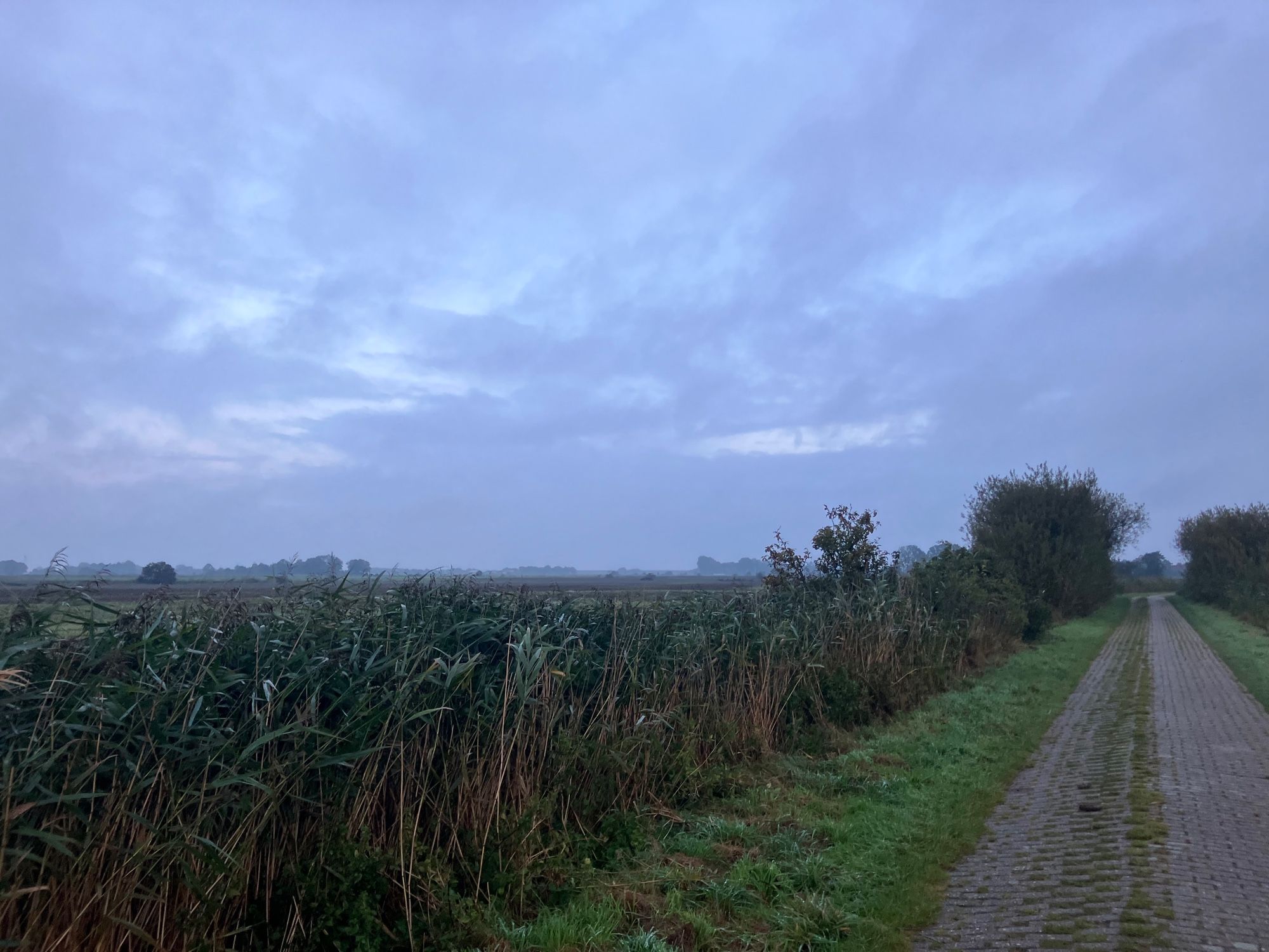 Feldweg und -Rand mit viel Himmel