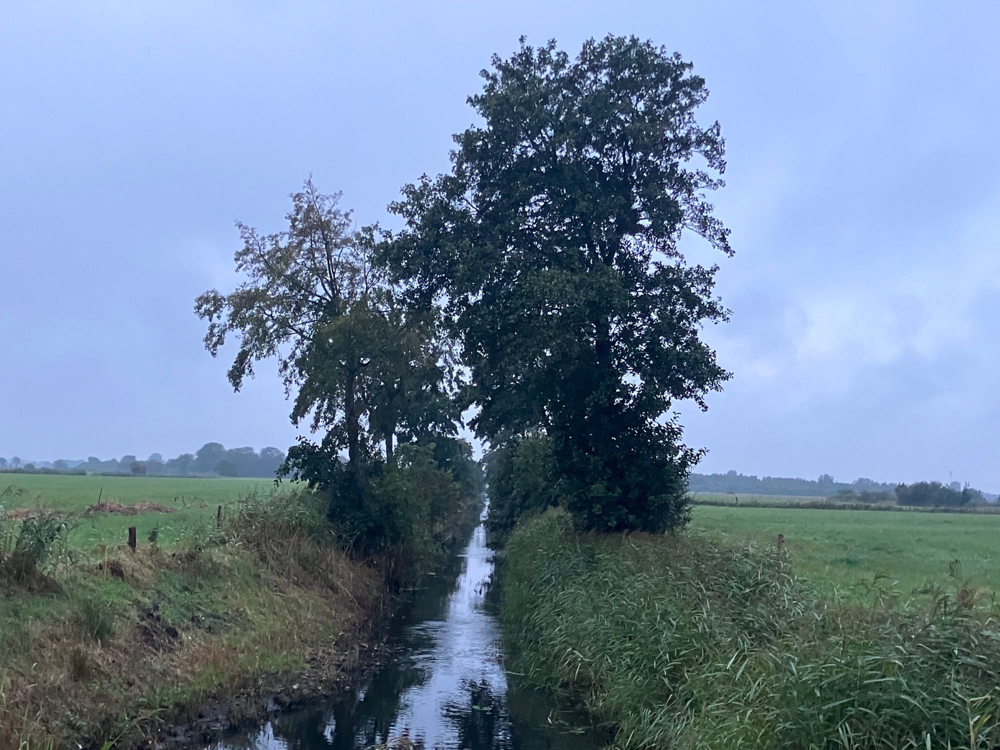 Schlot im Grau mit Bäumen