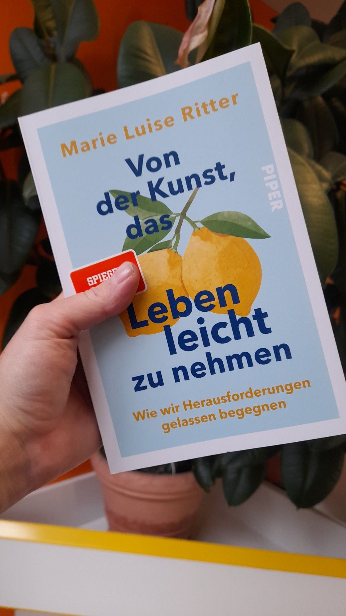 Buch in der Hand gehalten vor einem Gummibaum