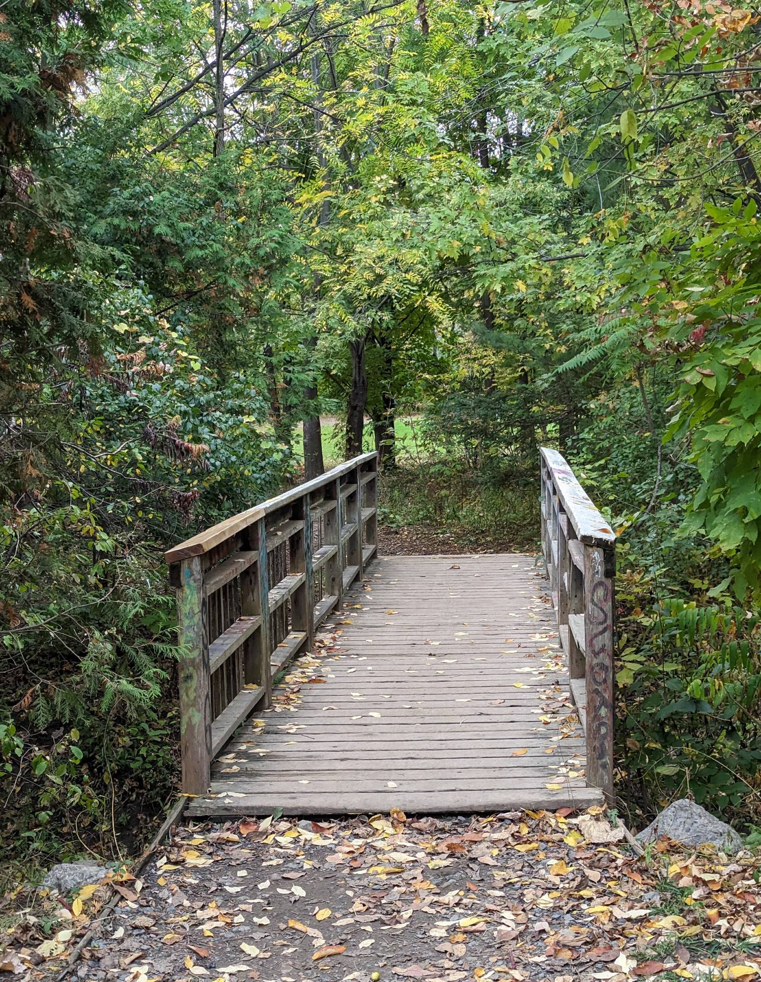 Wooden bridge with a dirt path on either side, surrounded by vegetation.