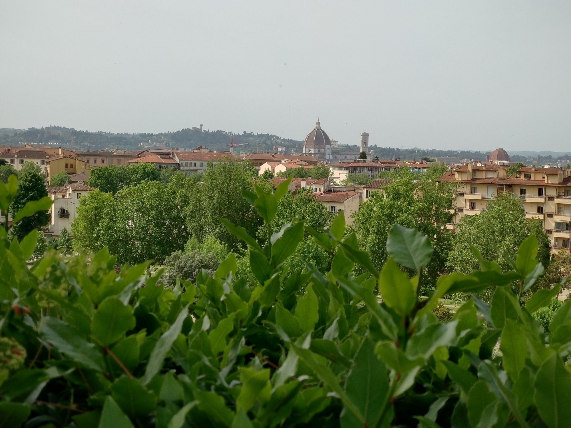 View on the city of Florence (Italy) from the "Orti del Parnaso".