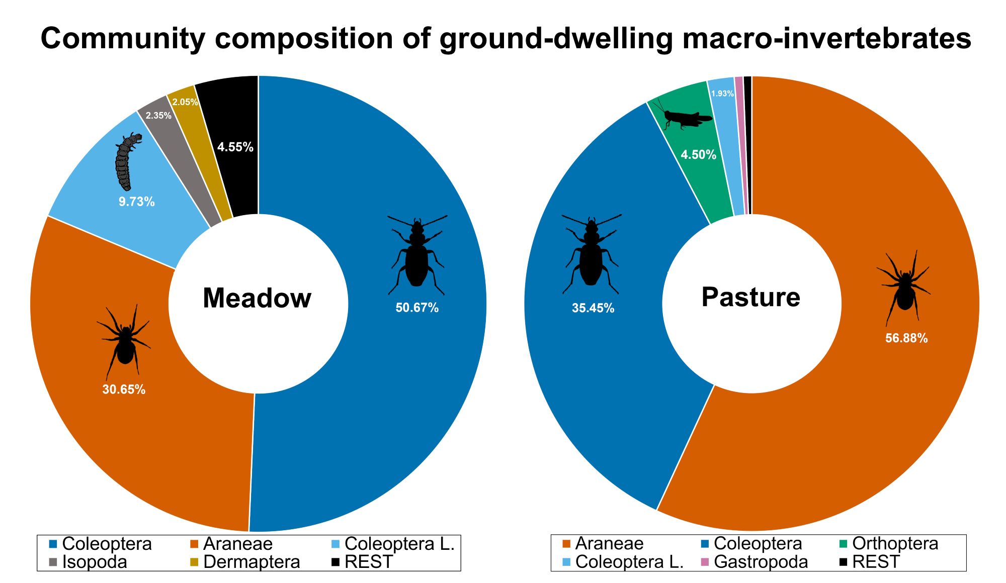 Figure 2 of the publication entitled: "Community composition (in percent) of ground-dwelling macro-invertebrates from an intensively managed hay
meadow and an extensively managed dry pasture at the LT(S)ER area ‘Val Mazia/Matschertal’, South Tyrol, Italy."