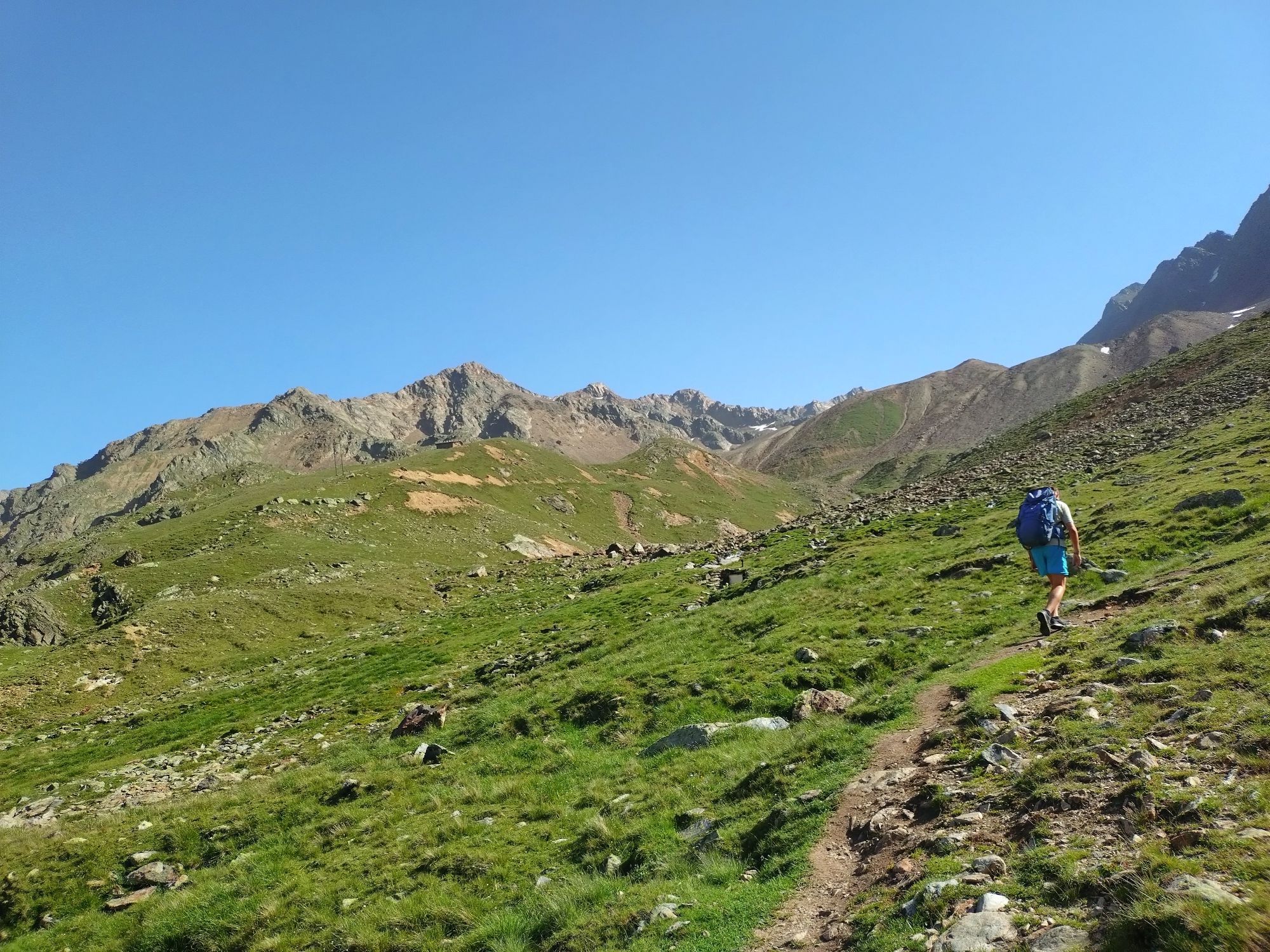 Ascent to our snowbed sampling sites in the European Central Alps.