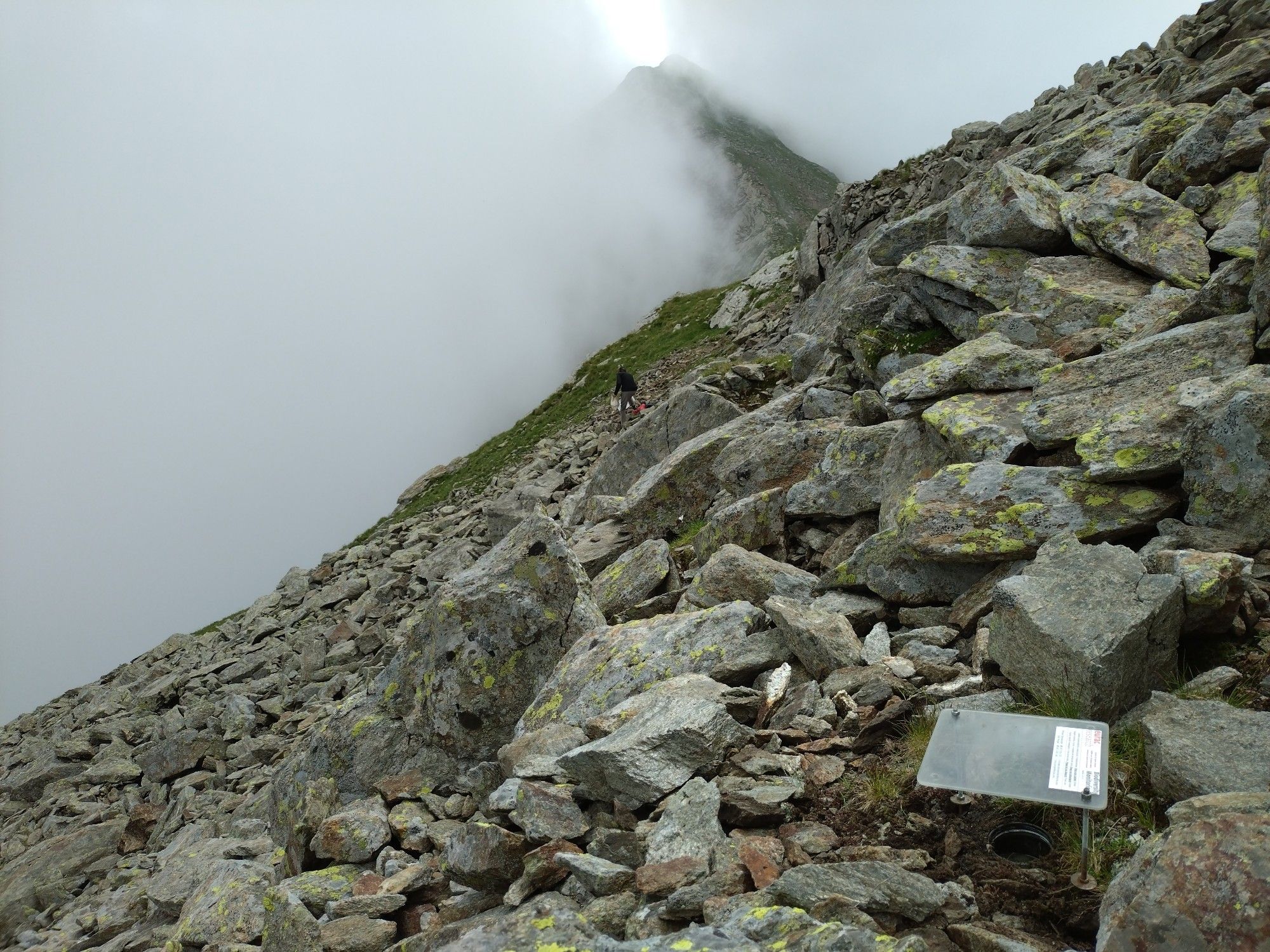 A pitfall trap installed in alpine rocky environment to capture ground-dwelling insects and other critters. In the background high fog on a mountain ridge.