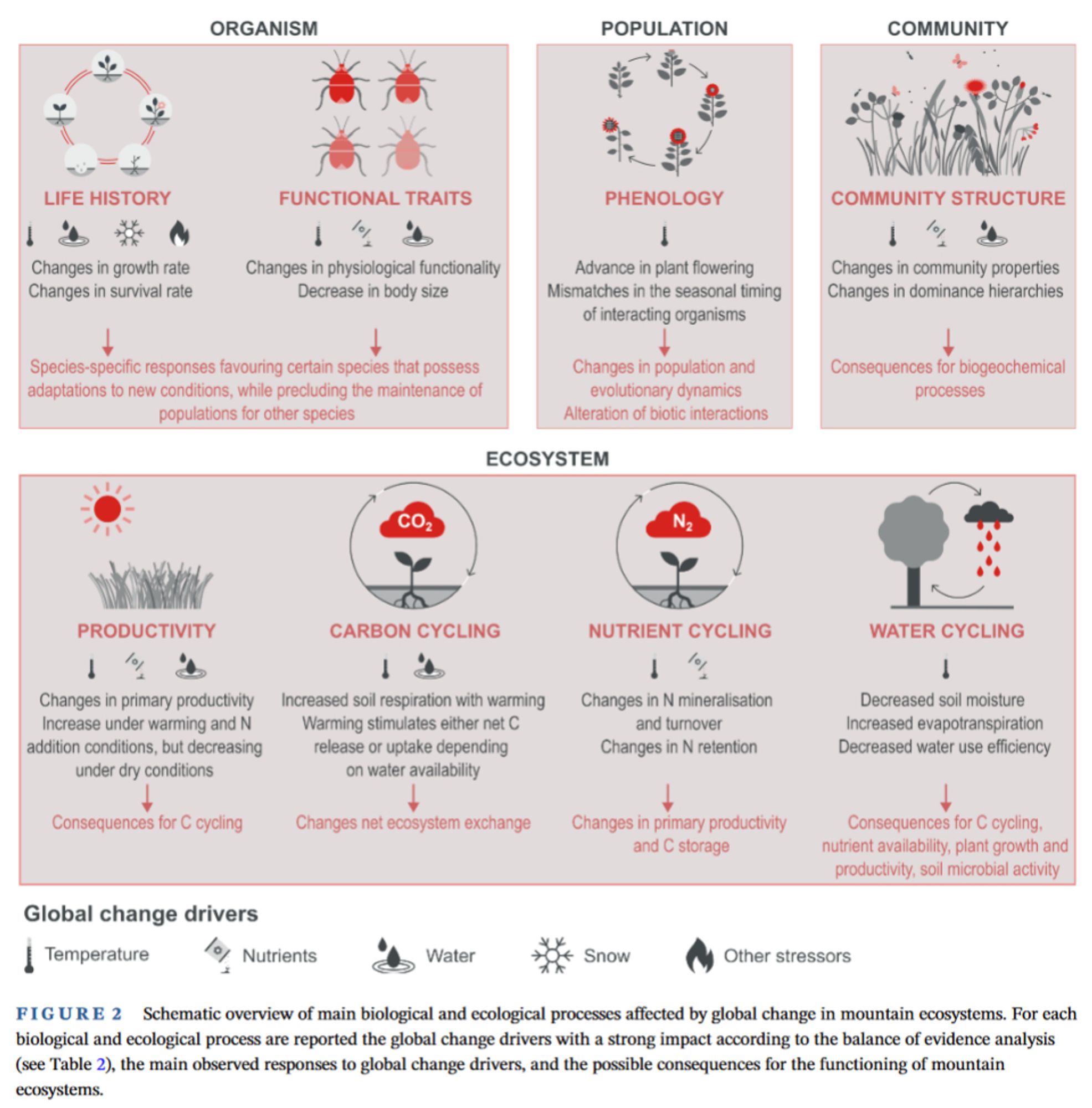 Figure 2 of the paper, showing a “Schematic overview of main biological and ecological processes affected by global change in mountain ecosystems. “