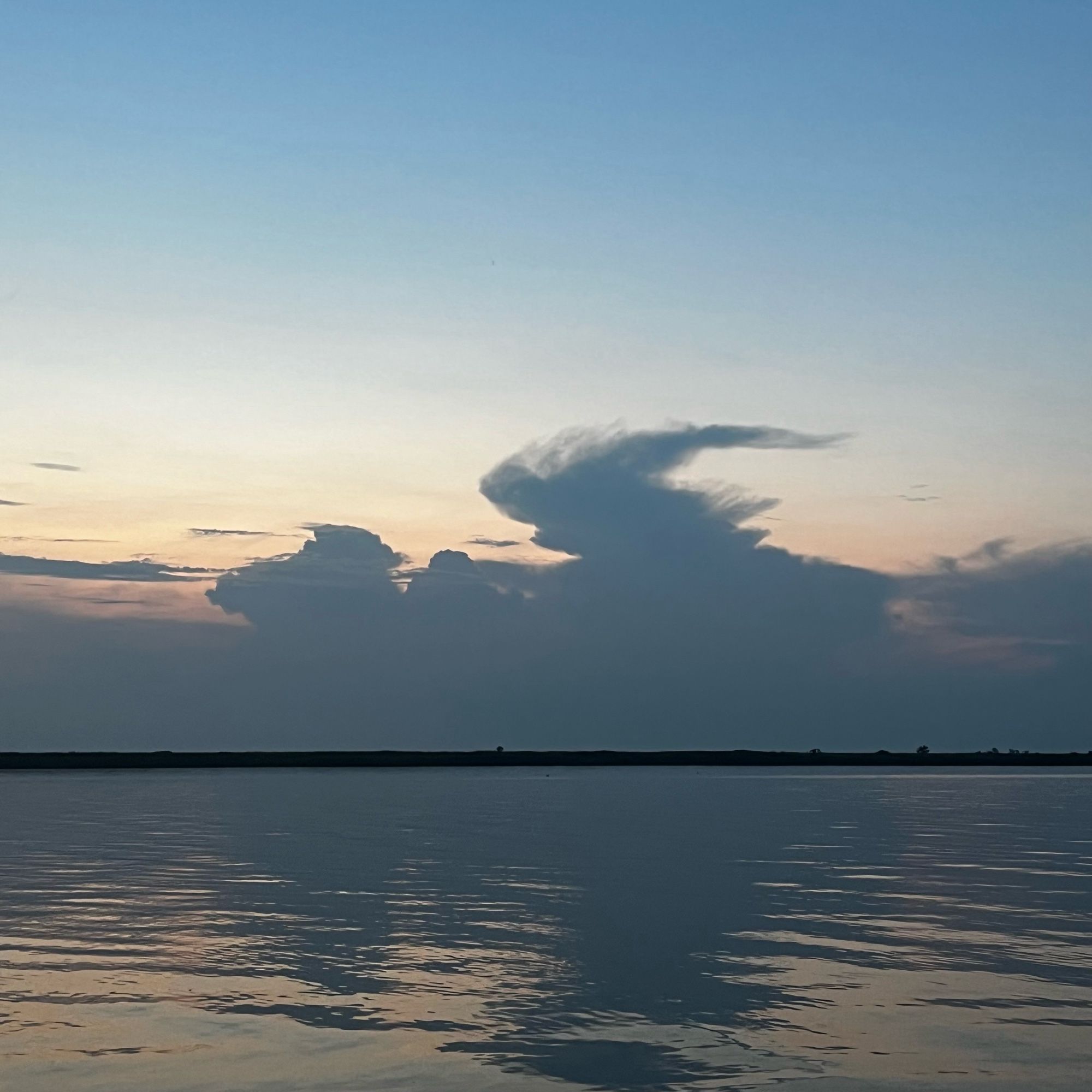 Eine Wolke, die aussieht, als ritte Trump auf einem Kamel.