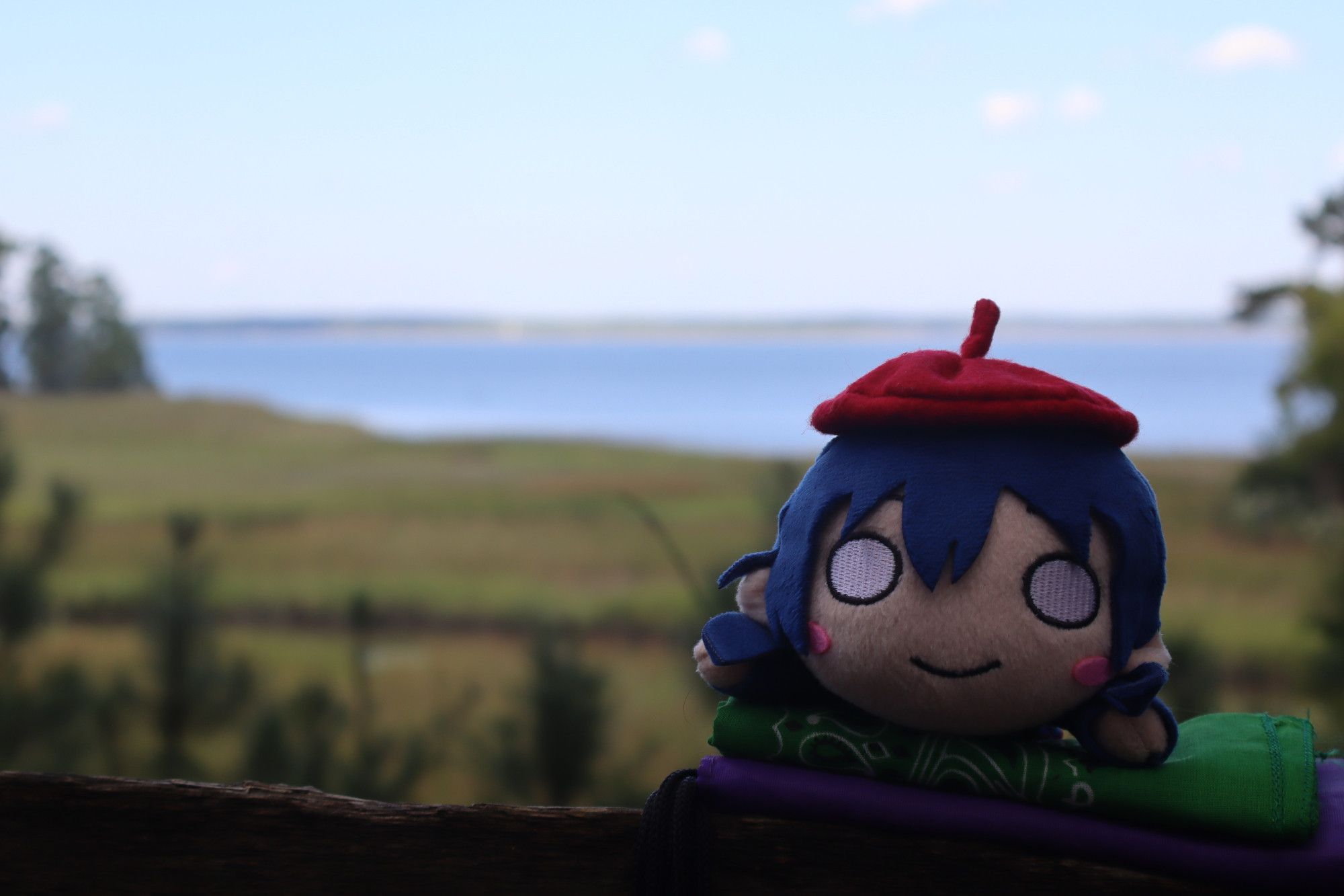 Umi waving from a fence high above the swamp.