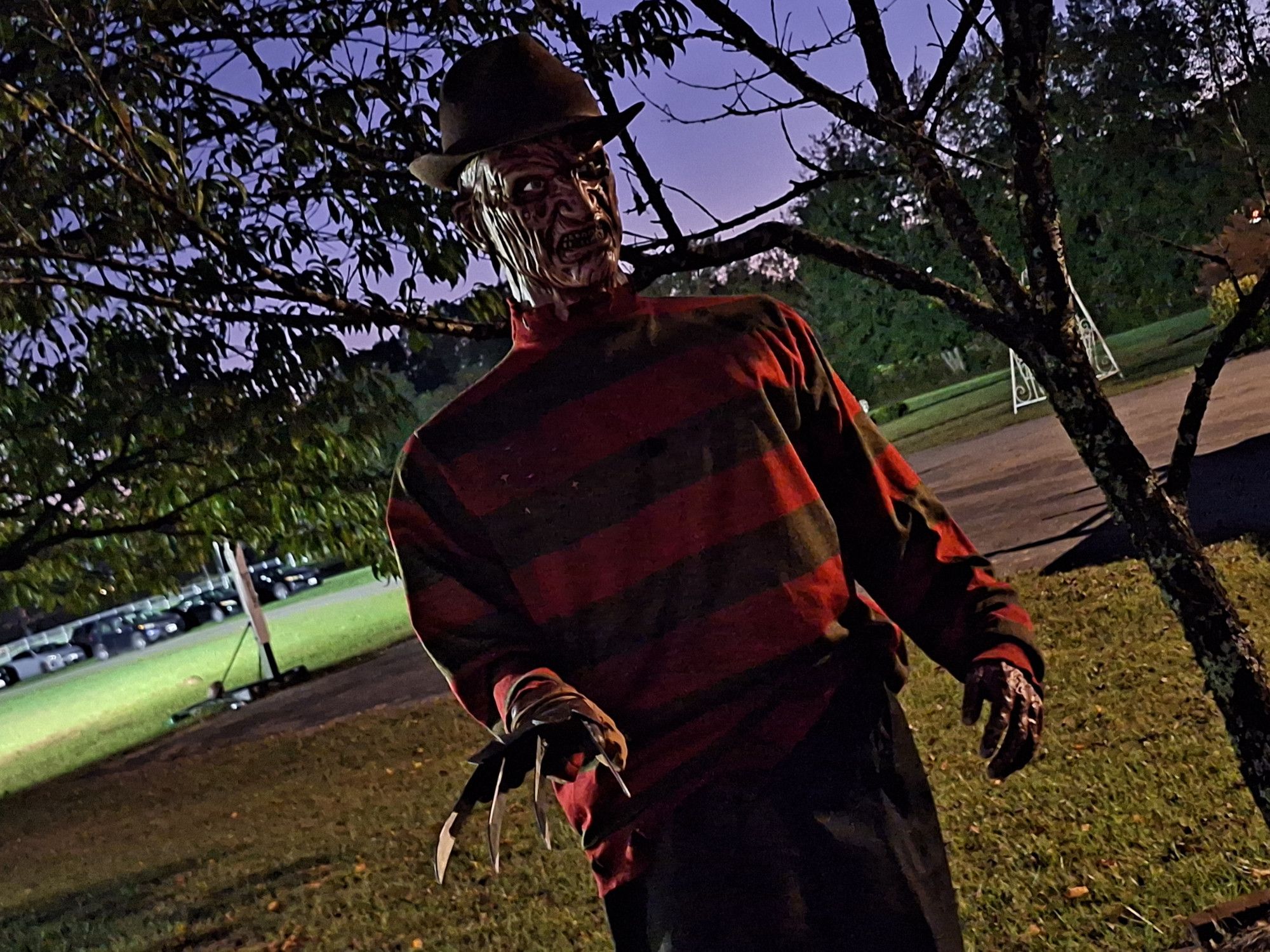 A Freddy Krueger doll.