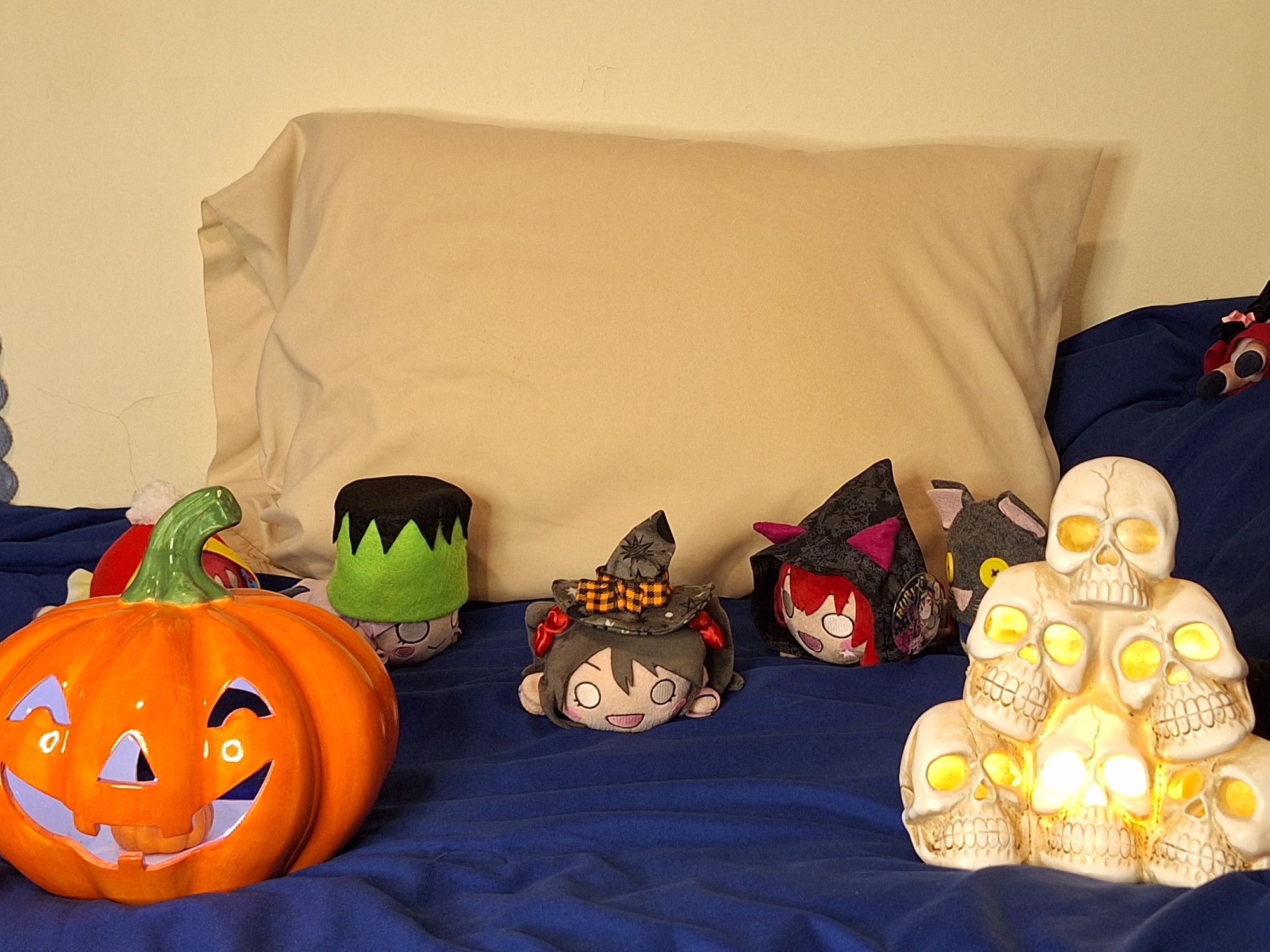 My nesoberis lined up on the runway (my bed) with their Halloween hats on.