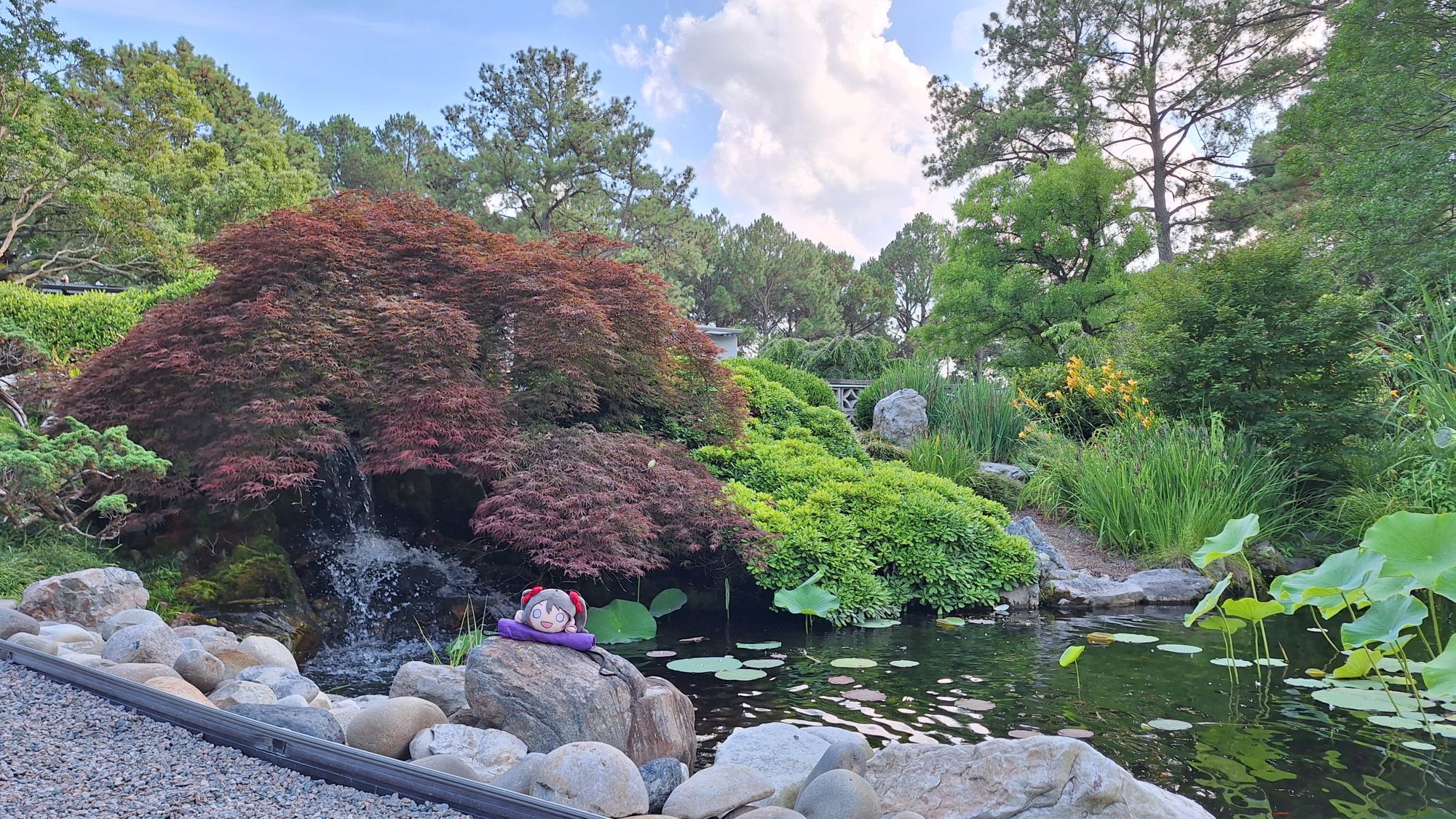 Nico on a rock in the Japanese garden at her favorite park.