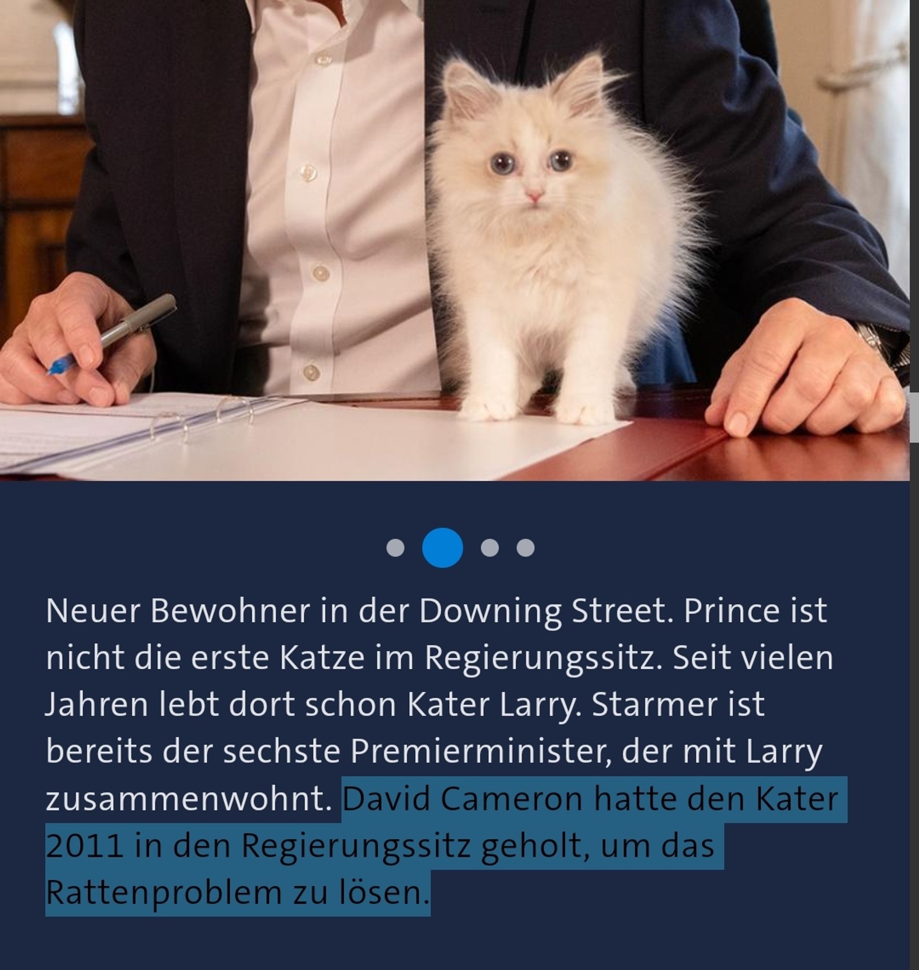 Foto einer Katze auf einem Schreibtisch an dem ein Mann sitzt (Premier Starmer), Text:

Neuer Bewohner in der Downing Street. Prince ist nicht die erste Katze im Regierungssitz. Seit vielen Jahren lebt dort schon Kater Larry. Starmer ist bereits der sechste Premierminister, der mit Larry zusammenwohnt. David Cameron hatte den Kater 2011 in den Regierungssitz geholt, um das Rattenproblem zu lösen.