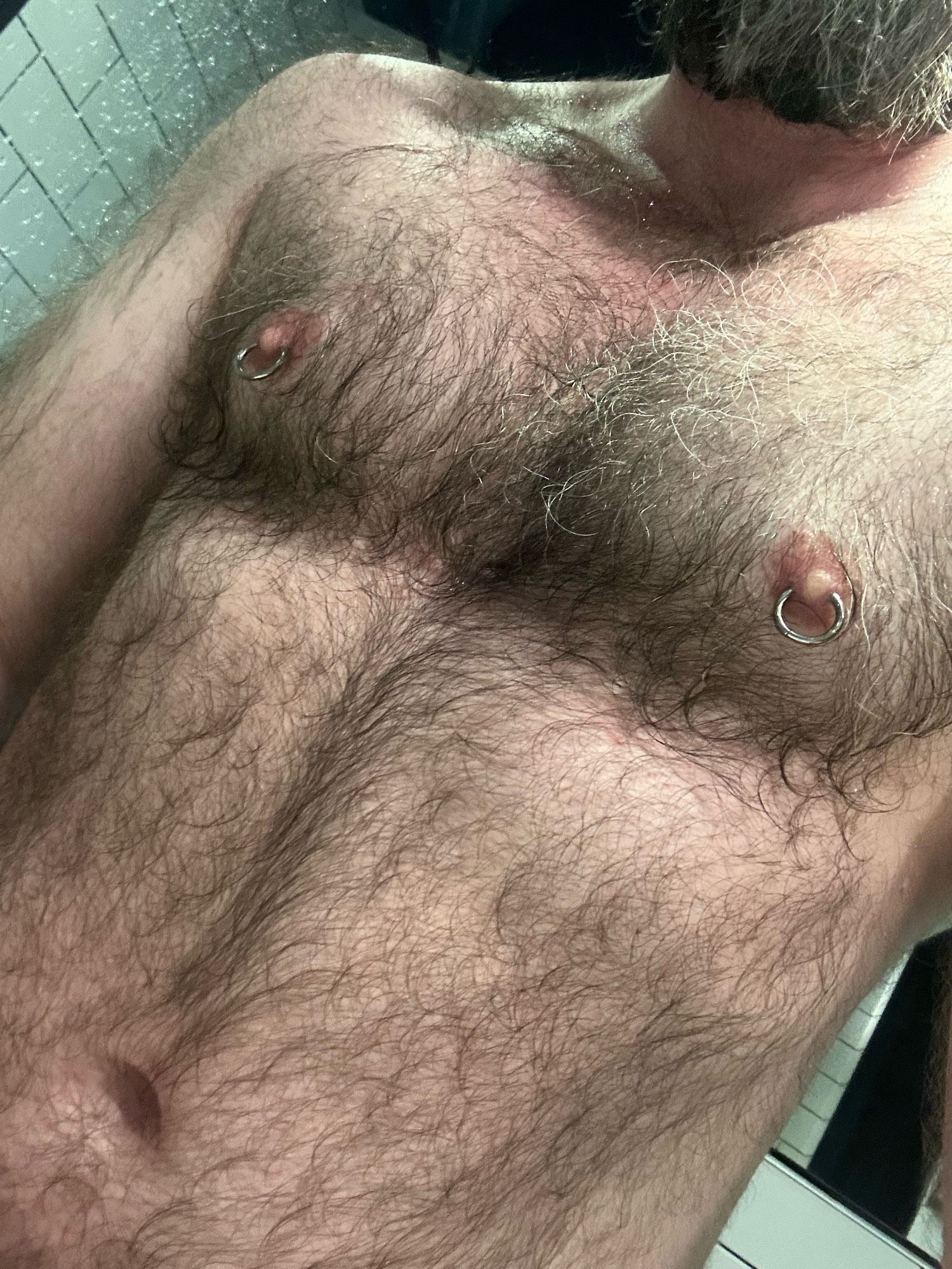 A hairy chest with nipple piercings