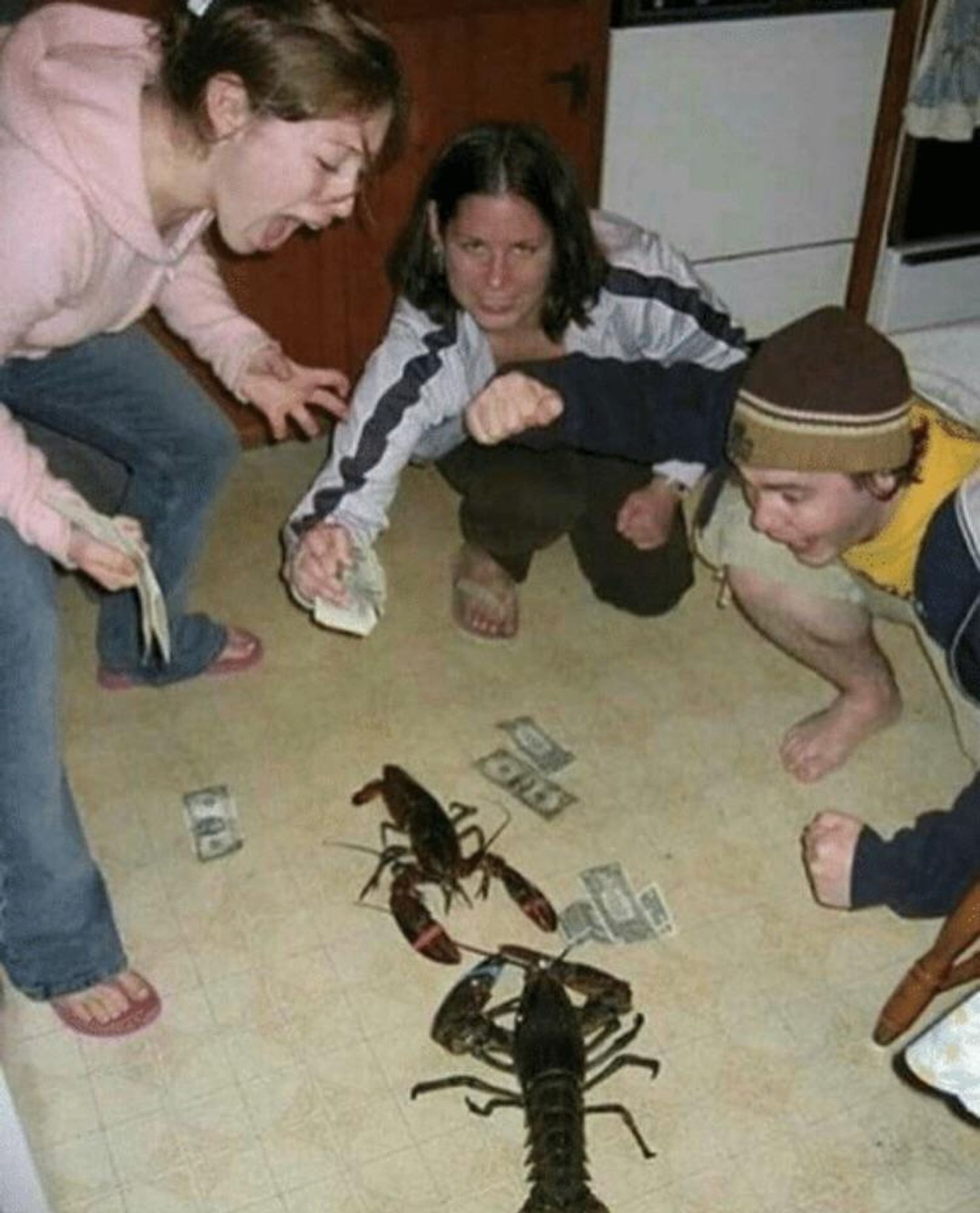 photo from the early internet of two lobsters on the floor surrounded by people cheering and placing bets