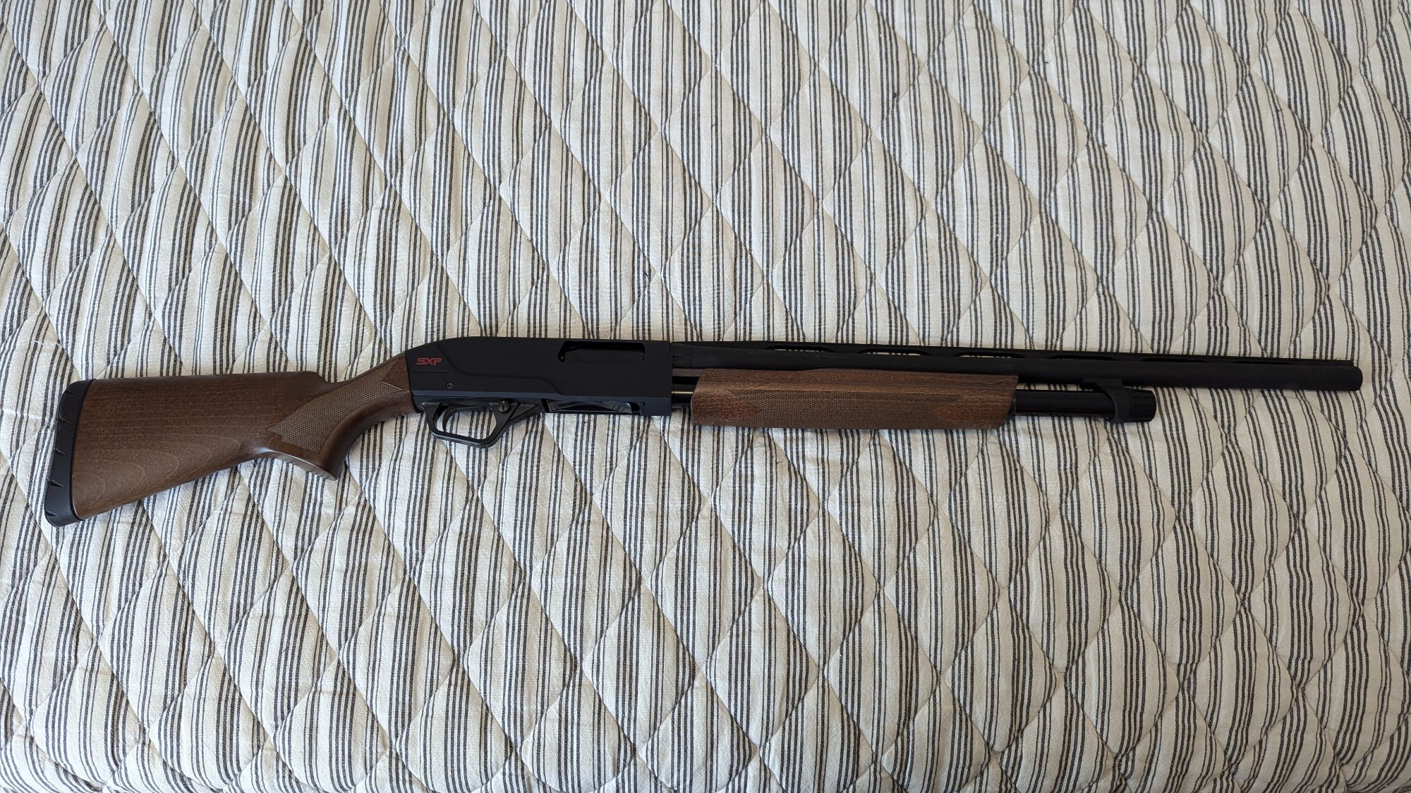 20 gauge Winchester sxp