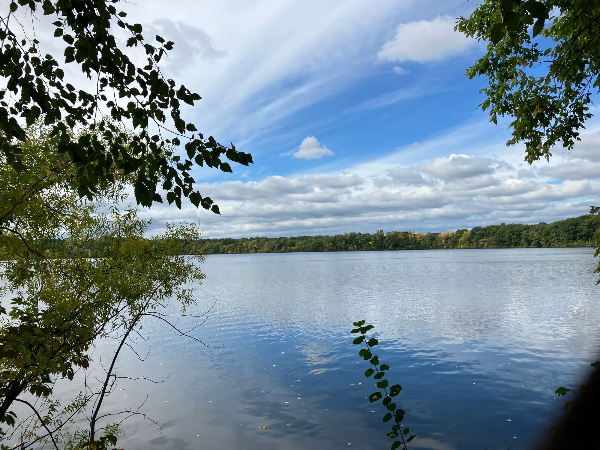 A pond, with trees visible at the far edge and around the corners of the image. The water and sky are both very blue