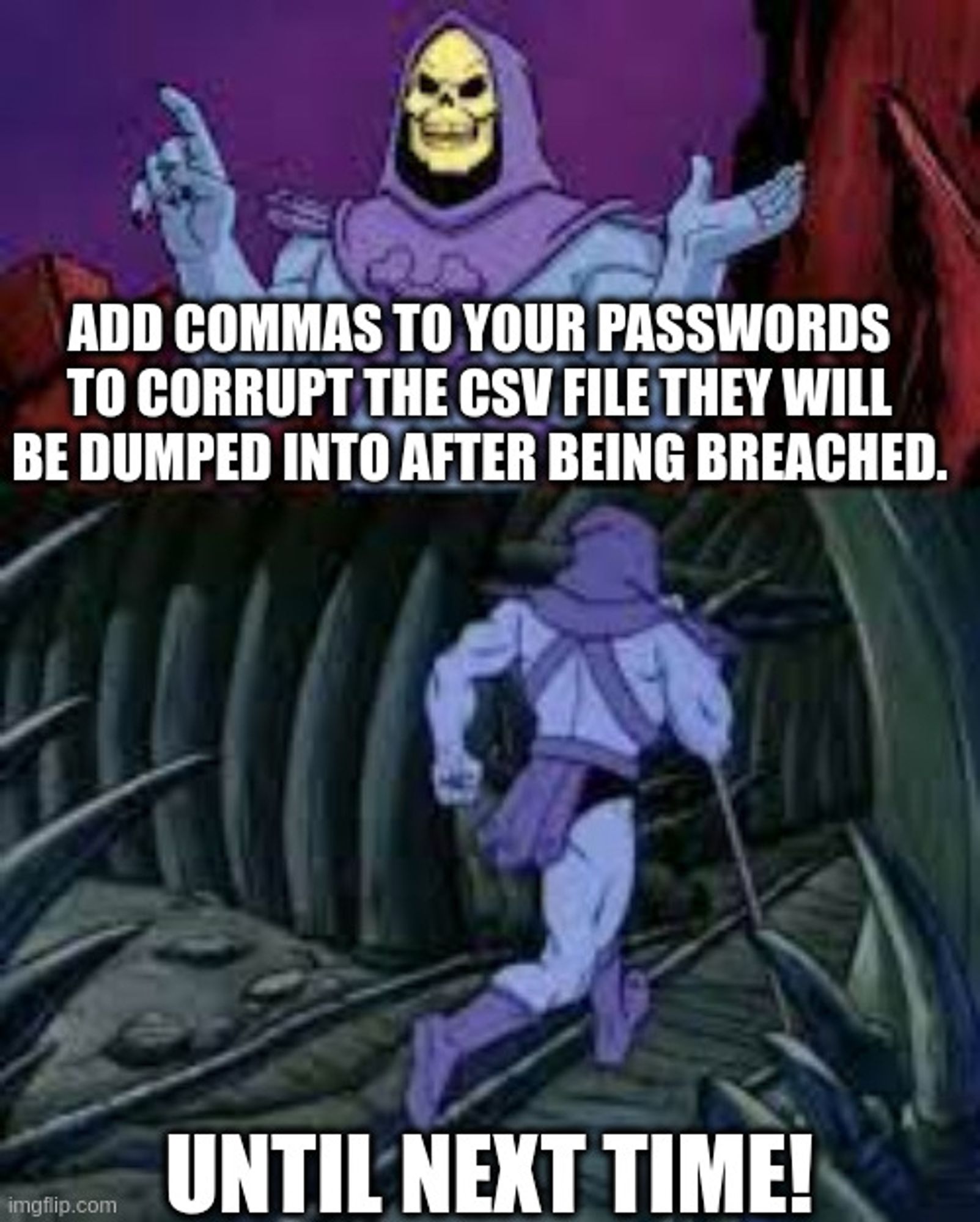 Skeltor "Until Next Time" meme...

"Add commas to your passwords to corrupt the CSV file they will be dumped into after being breached."