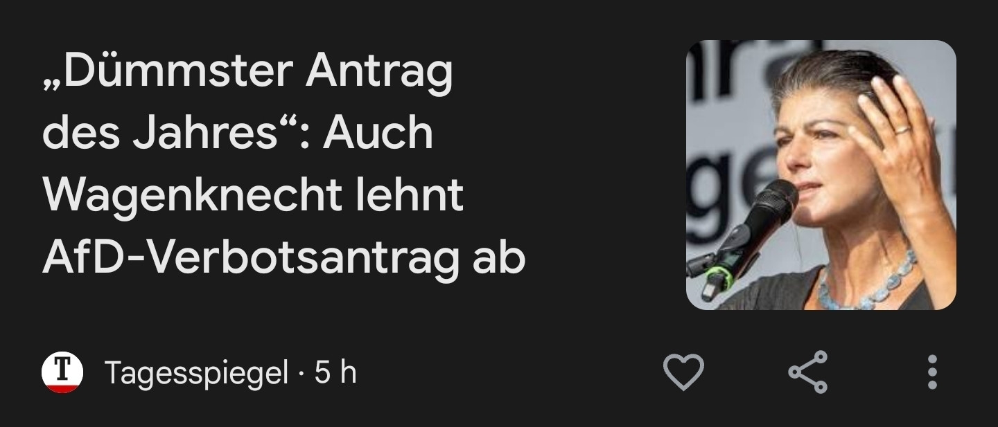 „Dümmster Antrag des Jahres“: Auch Wagenknecht lehnt AfD-Verbotsantrag ab