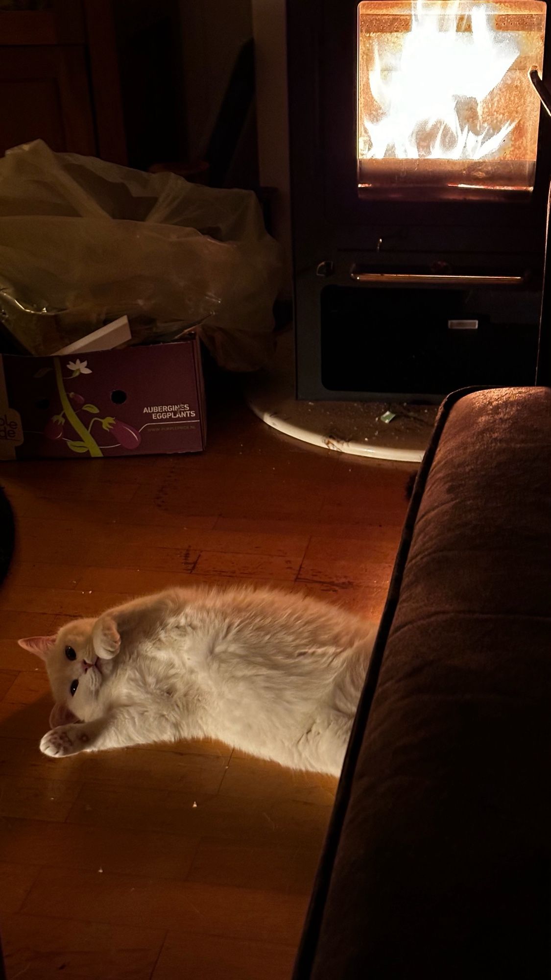 Pinky, my all white cat, laying on the floor belly up in front of the fireplace.