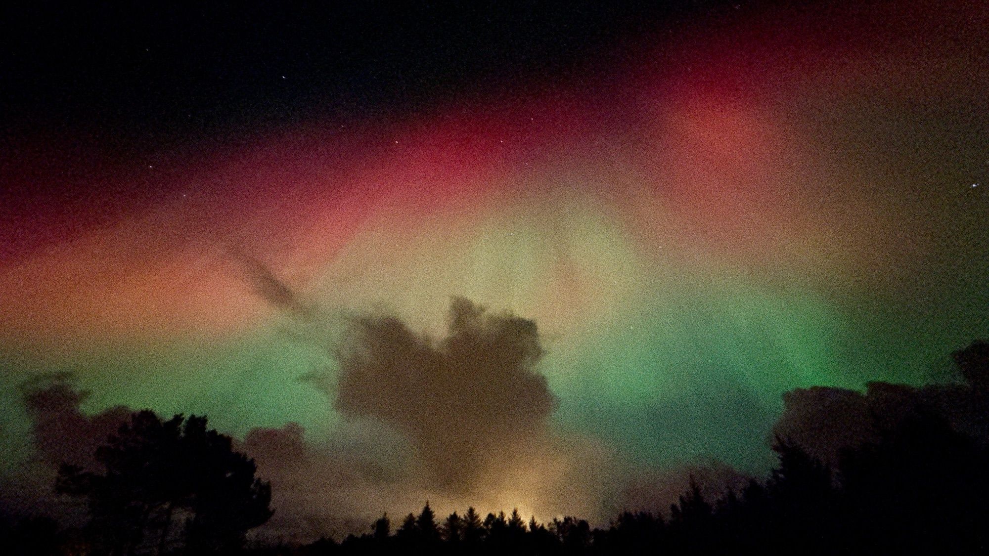 Aurora filling most of the sky, with red on top and green at the bottom and an orangey mix of the two in between. At the bottom of the frame is a line of trees backlit by the lights from an industrial area, the light also illuminating a big cloud extending up toward the center of the frame.