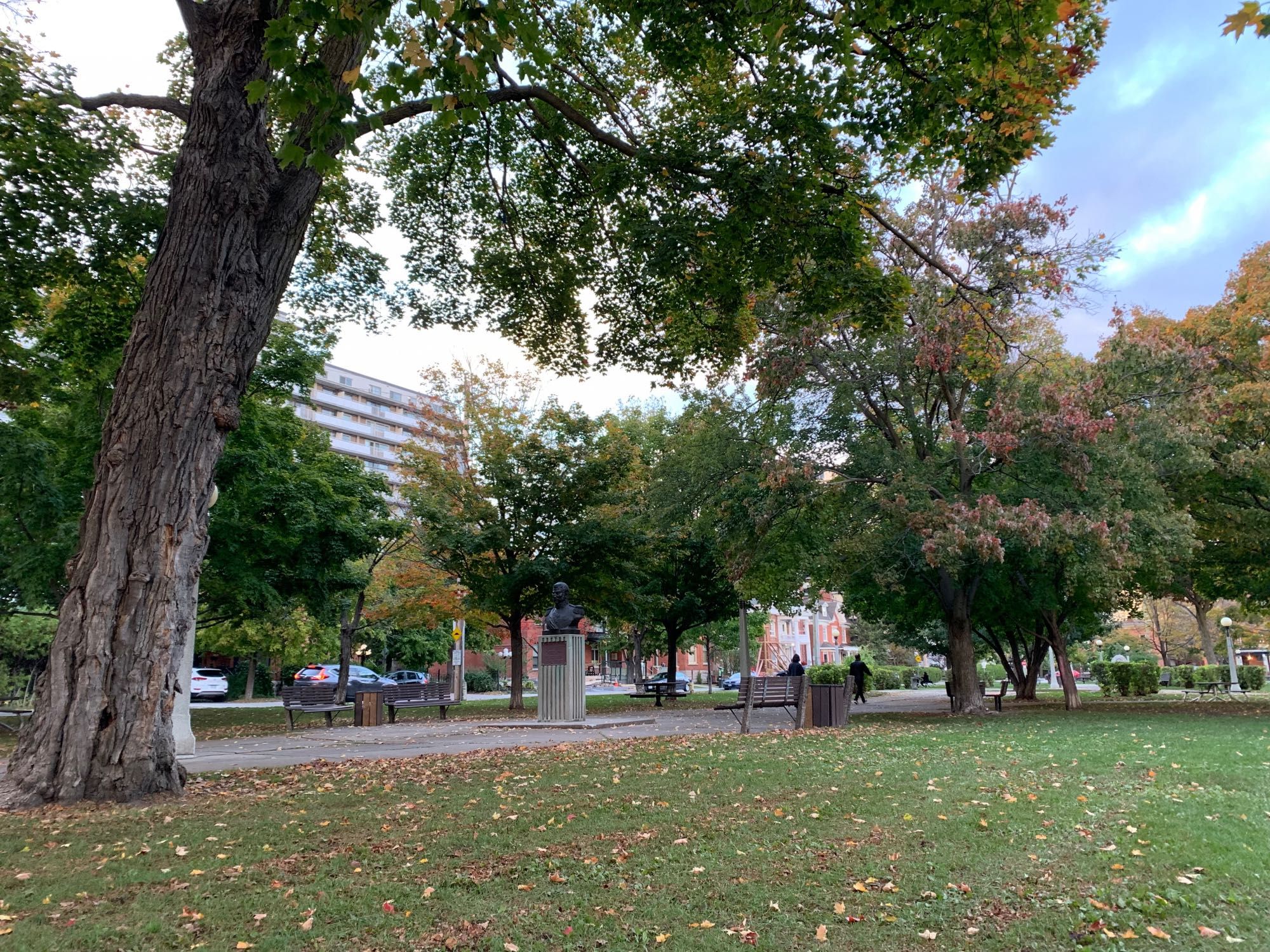 Park with autumn trees