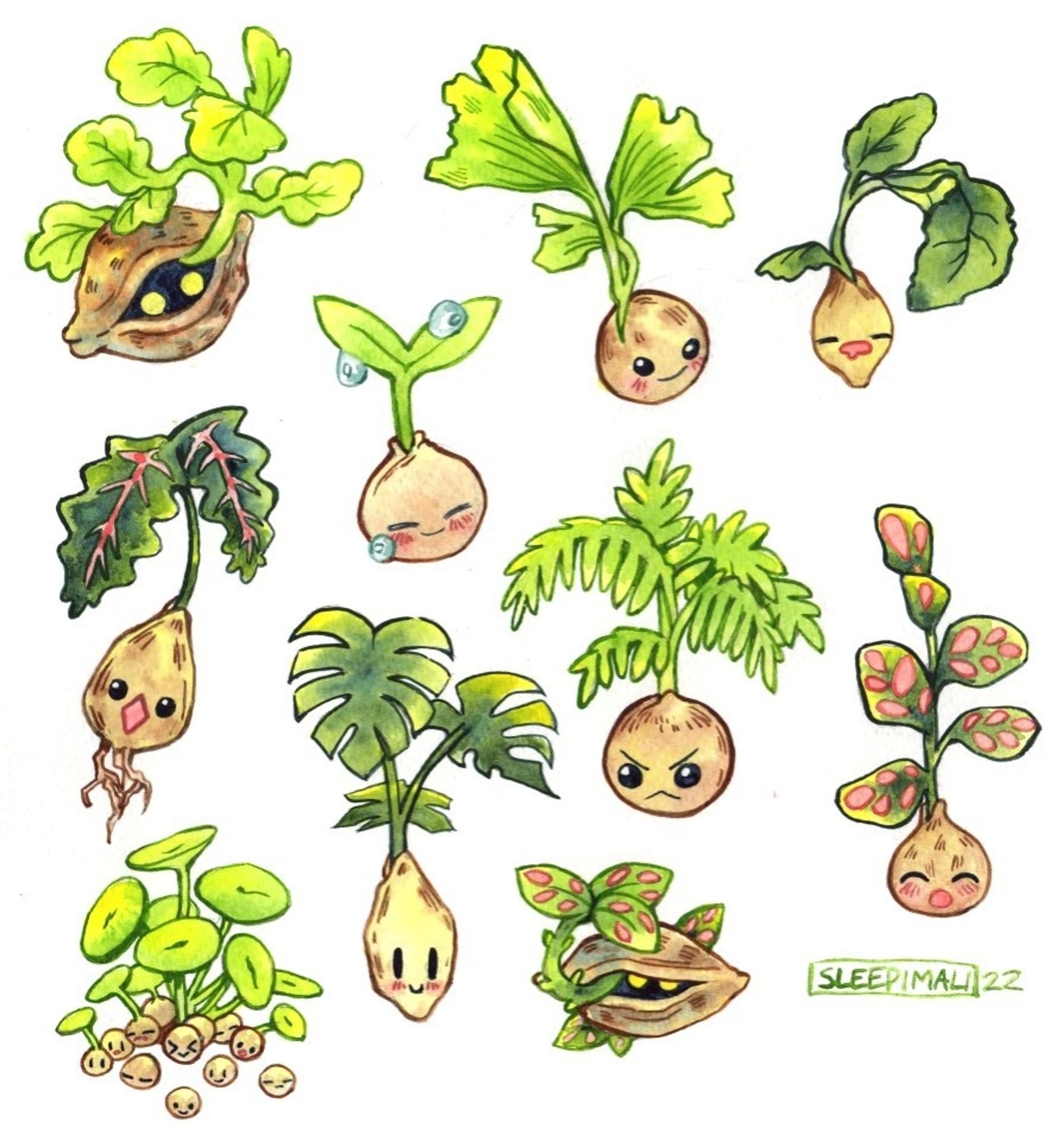 Watercolour art of a bunch of different sprouting seeds of different plant species. They have a variety of cute faces and expressions