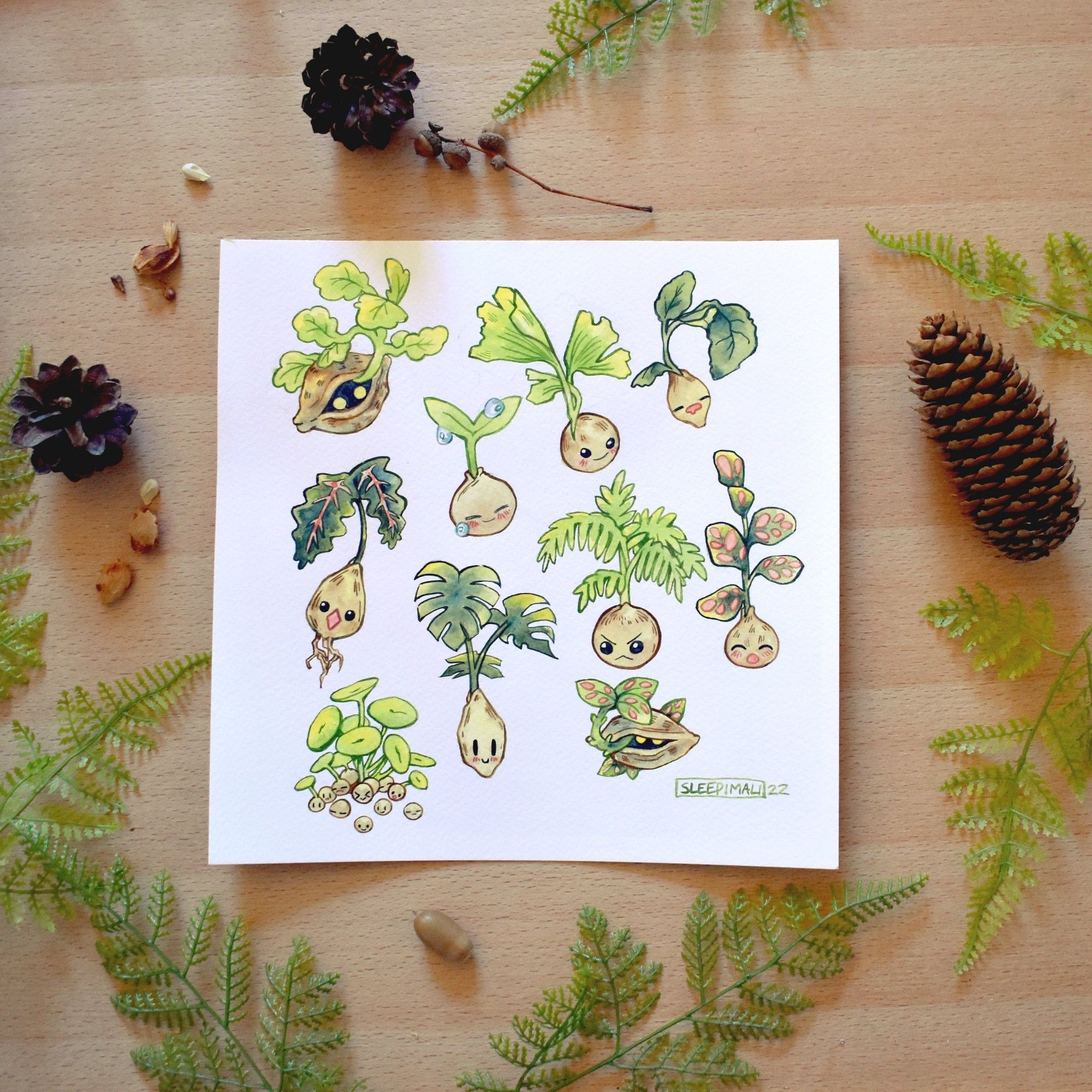 Photo of watercolour art of a bunch of different sprouting seeds of different plant species. They have a variety of cute faces and expressions.