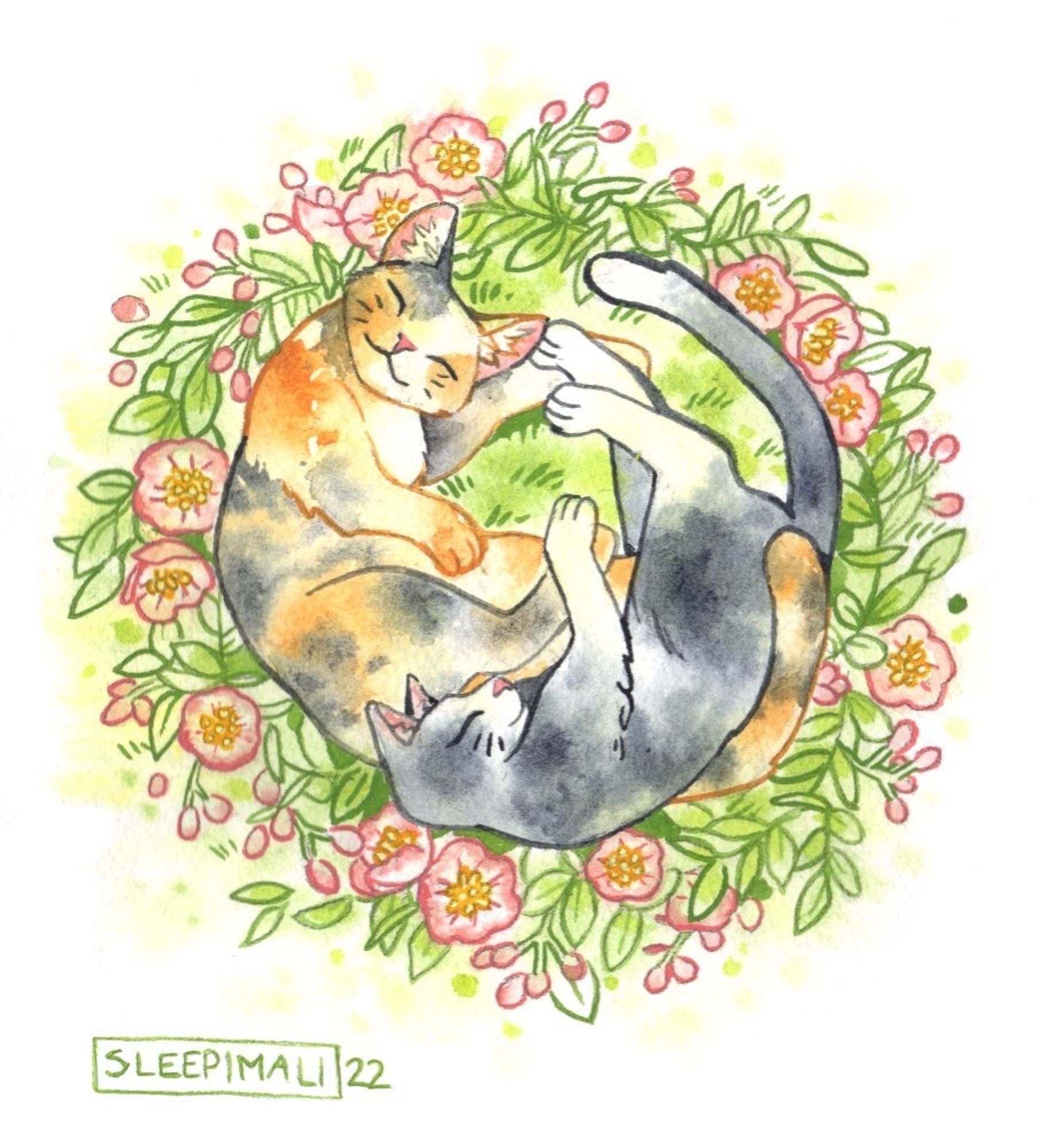 Watercolour painting of two cats napping on each other, forming a circle. They're surrounded by pink flowers