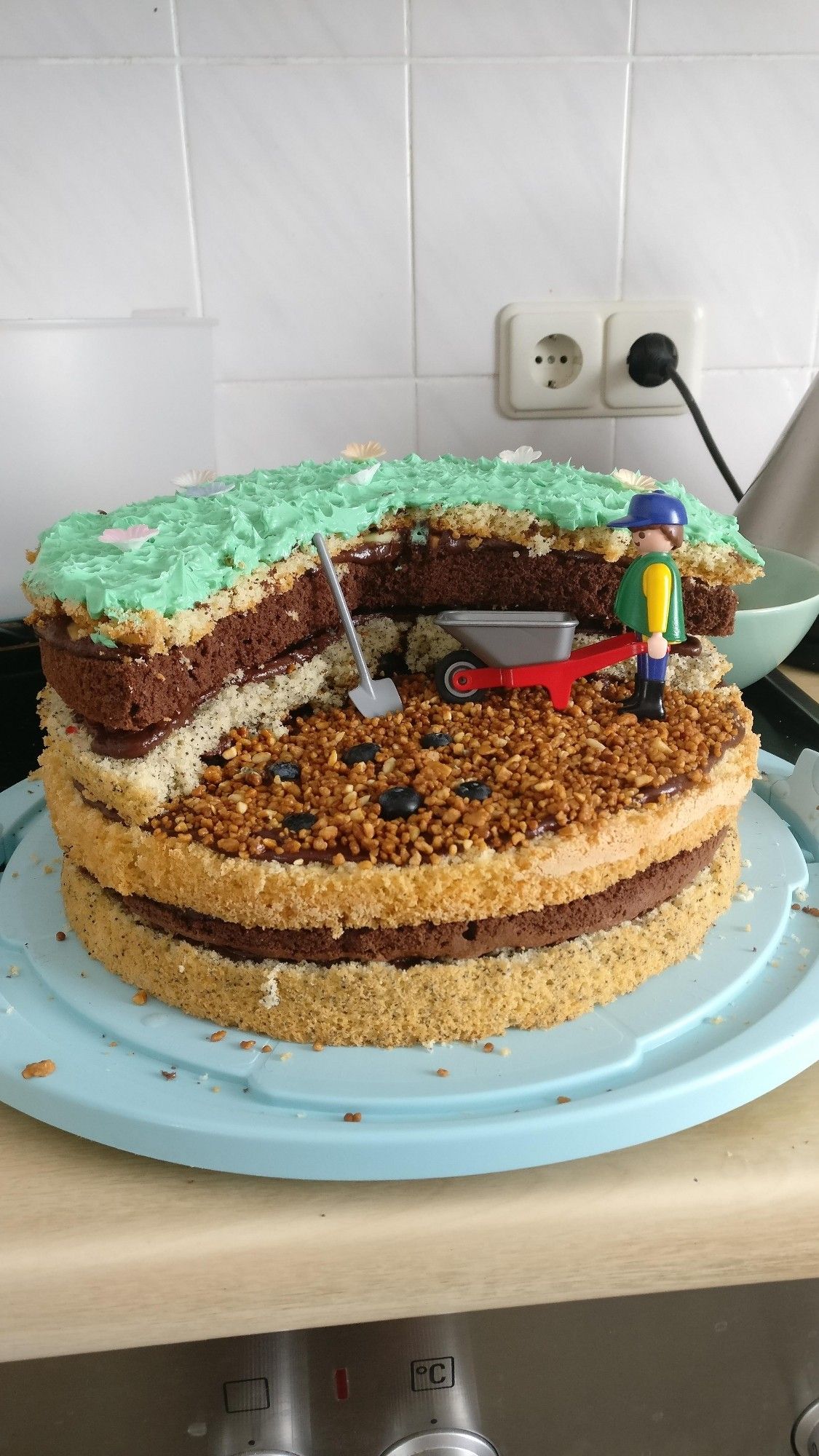 Eine Torte, die auf einer hellblauen Tortenplatte steht. Sie ist eine Art "naked cake" sodass man die verschiedenen Schichten sehen kann.
Die Torte besteht aus unterschiedlichen Böden mit Schokoganache dazwischen. 
Die beiden unteren Böden sind ganz, aus den Böden oberhalb ist ein Viertel herausgeschnitten.
Auf dem Viertel ist als Bodenbelag Krokant gestreut. Mit sechs Heidelbeeren ist ein archäologischer Befund (in diesem Fall die Verfärbungen von Holzpfosten eines Hauses in Erde) dargestellt. Ein Spaten lehnt an dem nicht herausgeschnittenen Kuchenteil und daneben steht eine Playmobilfigur mit blauer Kappe, gelbem Oberteil und grüner Weste, die eine silberne Schubkarre mit rotem Gestell schiebt.
Der Kuchen ist oben drauf mit grün eingefärbter Schweizer Buttercreme und Blüten aus Esspapier dekoriert, um den Eindruck einer Blumenwiese zu erwecken.