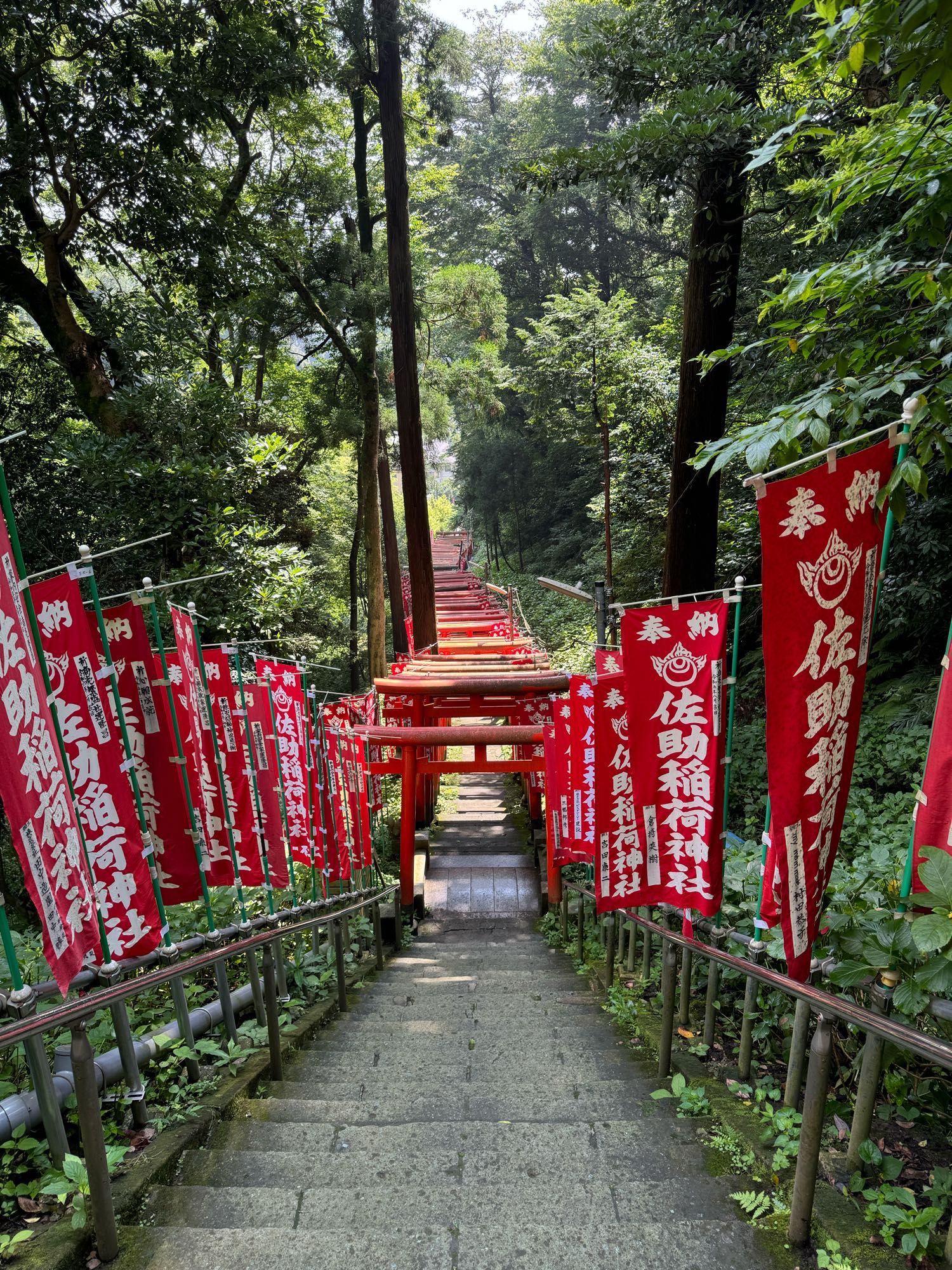 Row of torii gates