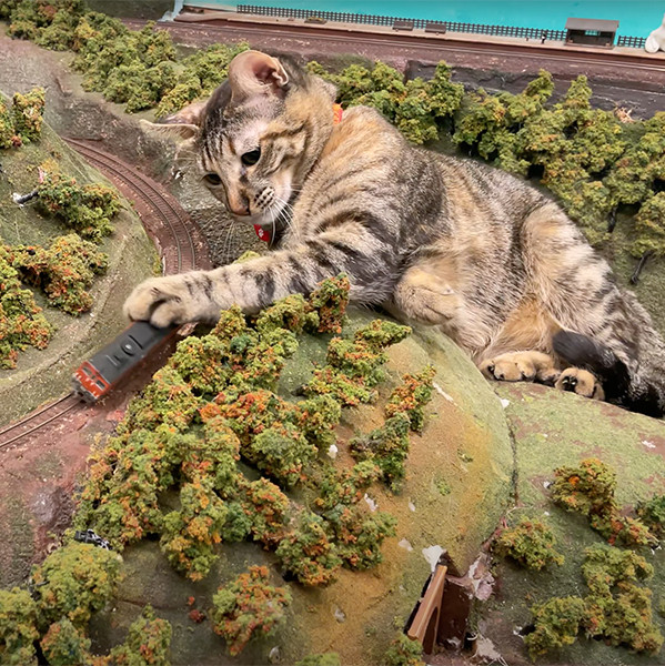 a cat is defeating a model train in this adorable photo