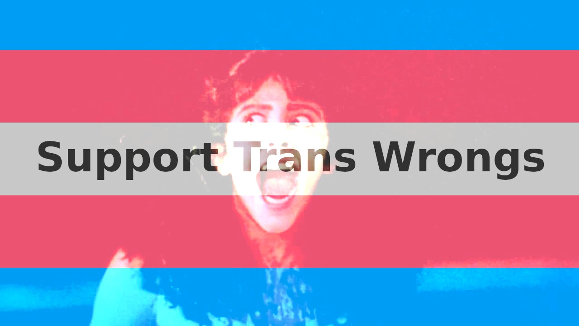 it is the quintessential still of Angela screaming from Sleepaway camp with trans flag superimposed and also the text "support trans wrongs"