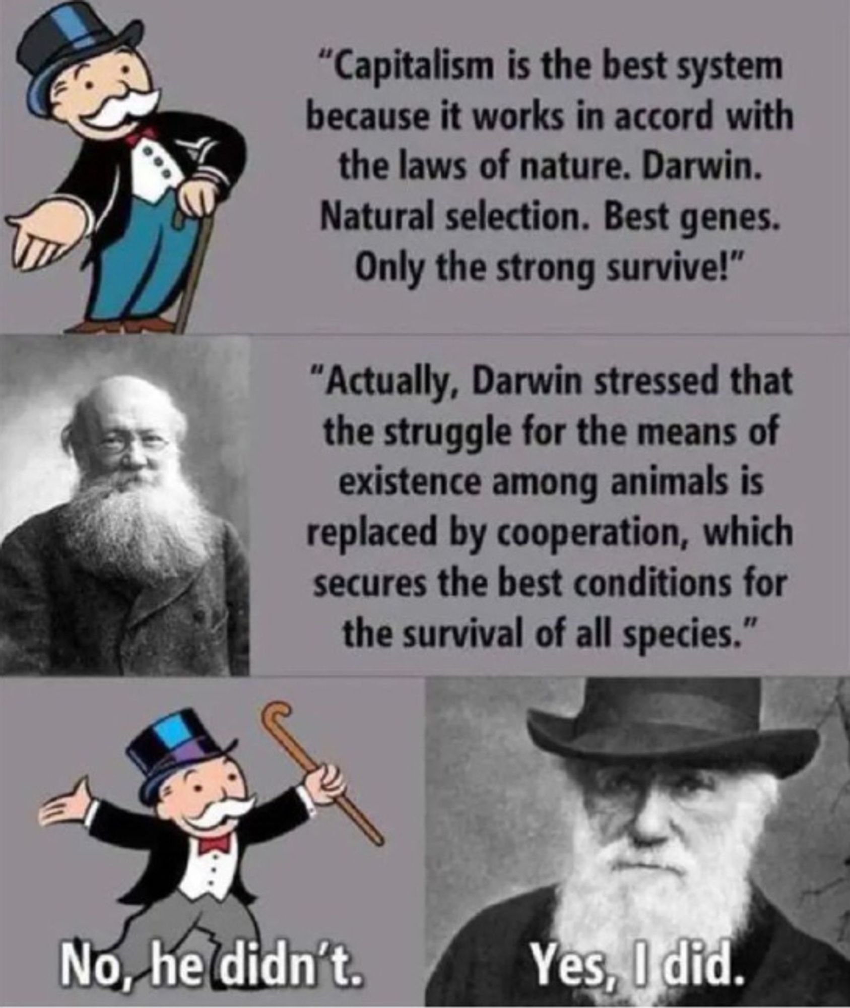 capitalist monopoly man: "Capitalism is the best system because it works in accord with the laws of nature. Darwin. Natural selection. Best genes. Only the strong survive!" 

Kropotkin: "Actually, Darwin stressed that the struggle for the means of existence among animals is replaced by cooperation, which secures the best conditions for the survival of all species." 

capitalist monopoly man: "No, he didn't." 

Darwin: "Yes, I did."