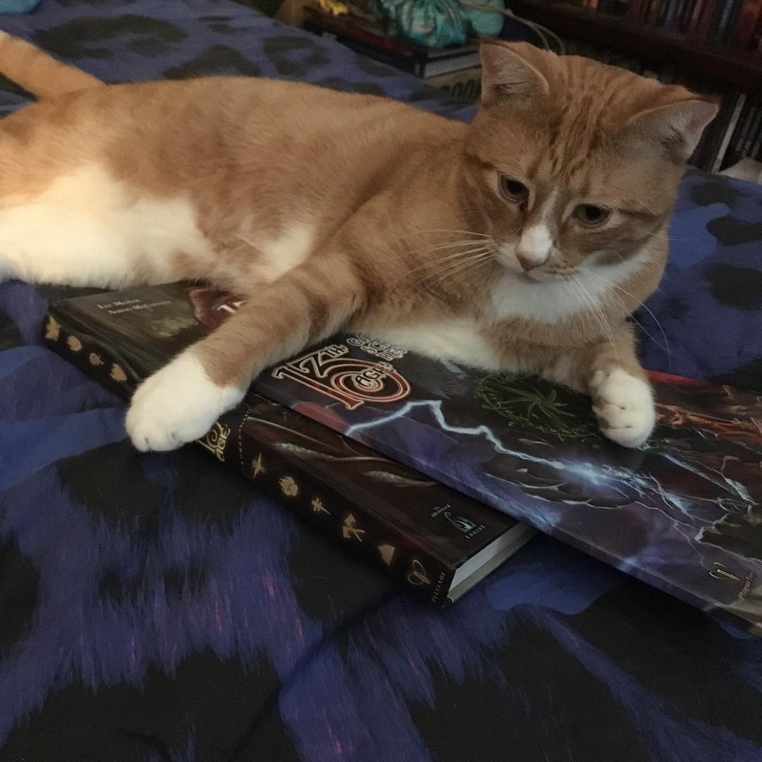 Julius, a large orange cat, rests on top of a pair of rulebooks for 13th Age, the d20-rolling fantasy roleplaying game created by the lead designers of D&D 3rd and 4th editions and published by Pelgrane Press. Julius has a white belly and paws and is calm. Julius and the books are on a blue and black bedspread.