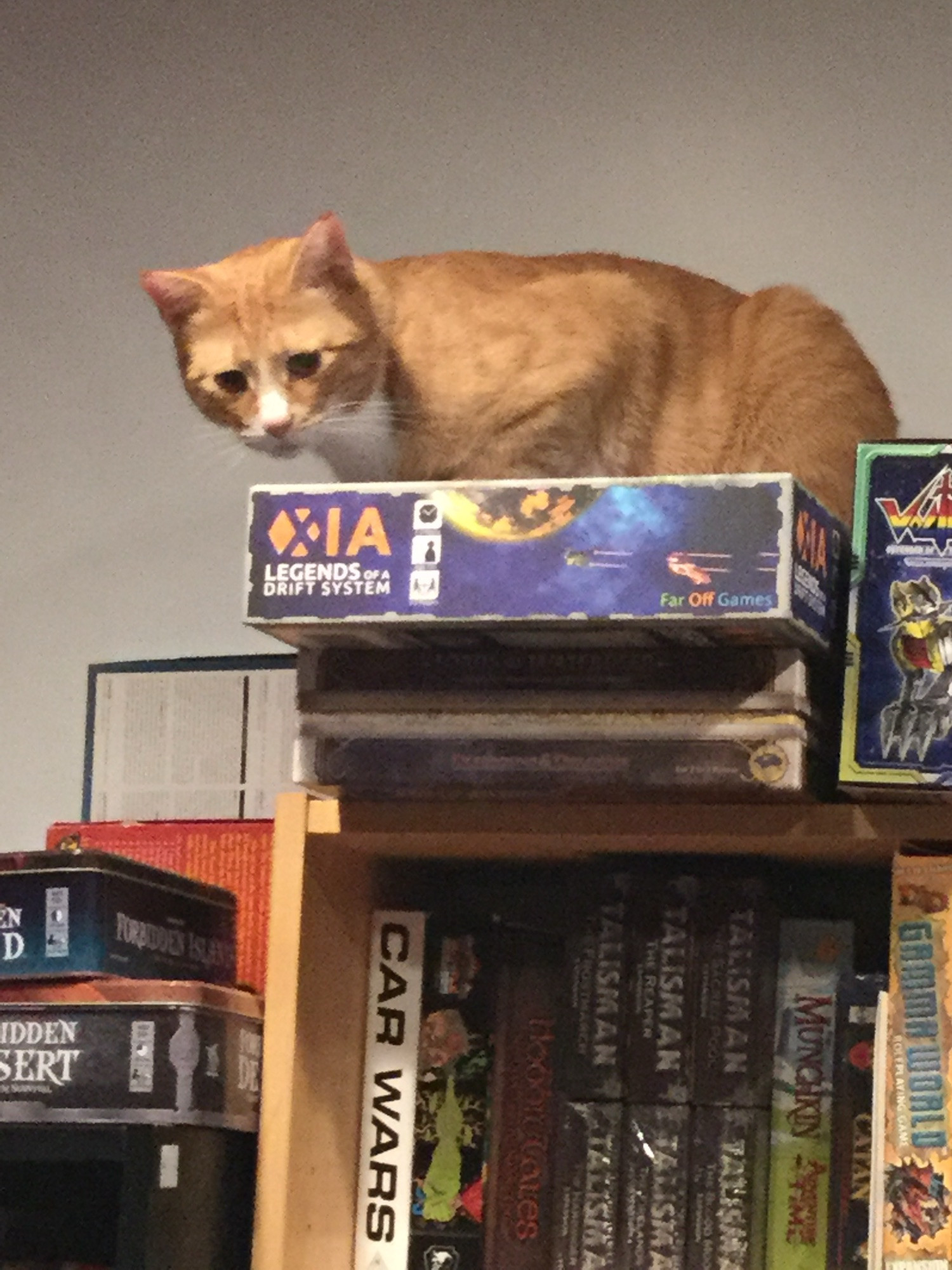 Julius, a large orange cat, is on top of a bookshelf laden with board games. the box he's on is for Xia: Legends of a Drift System.