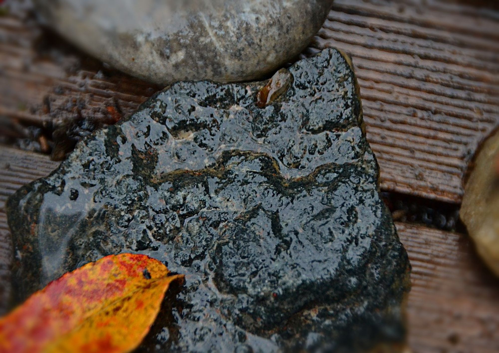 Close view of a couple of small stones on a wooden bench, the bench is a weathered grey brown with prominent grain. One of the rocks is a flattish roughly triangular/pyramidal almost black stone with rough surface texture, another is rounded, also flattish and variable light grey. At the bottom of the dark stone part of a willow leaf is visible, bright gold with red mottling. Stones and leaf are shiny wet