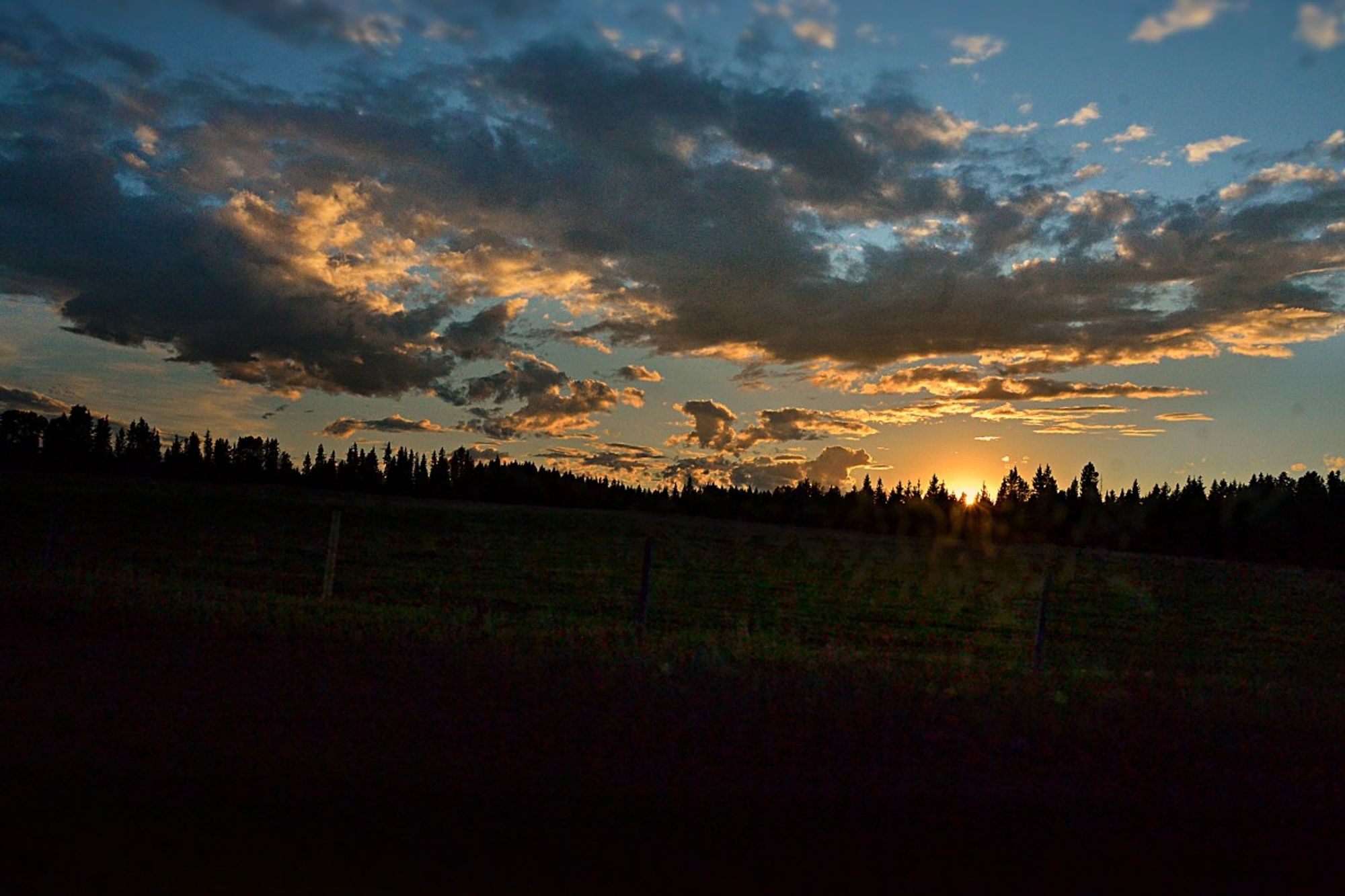 The sun has almost disappeared behind trees- mostly pointy tipped spruce, in silhouette. In front, across a dark shadowed ditch,  is a wire and post fence then a pasture with low grazed grass, a hint of green just visible in the gloom.
The sinking sun is an orange rimmed golden semi-orb, above are scattered clouds of violet grey, edged and highlighted in gold and orange against bits of blue sky below and above.