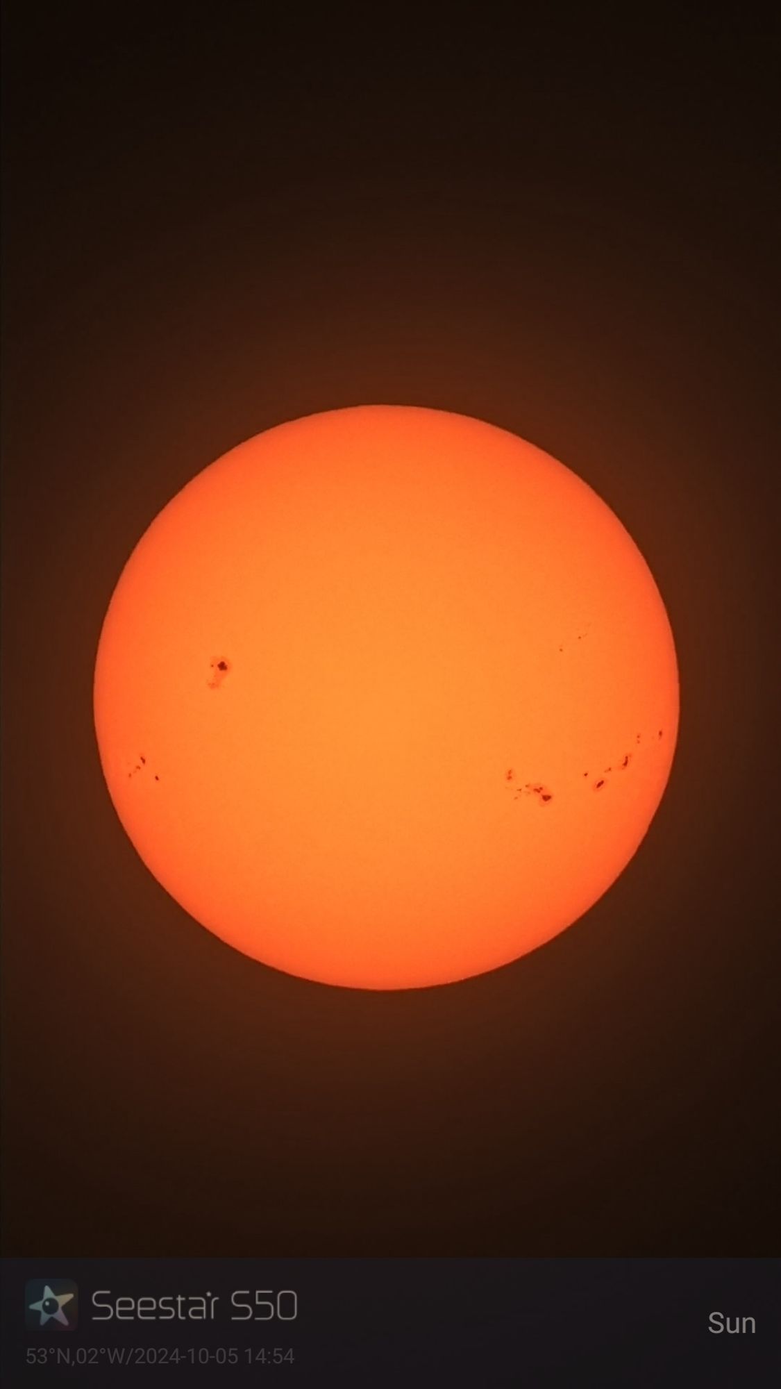 A large orange circle fills the screen. To the right and left sides are scattered dark speckles.