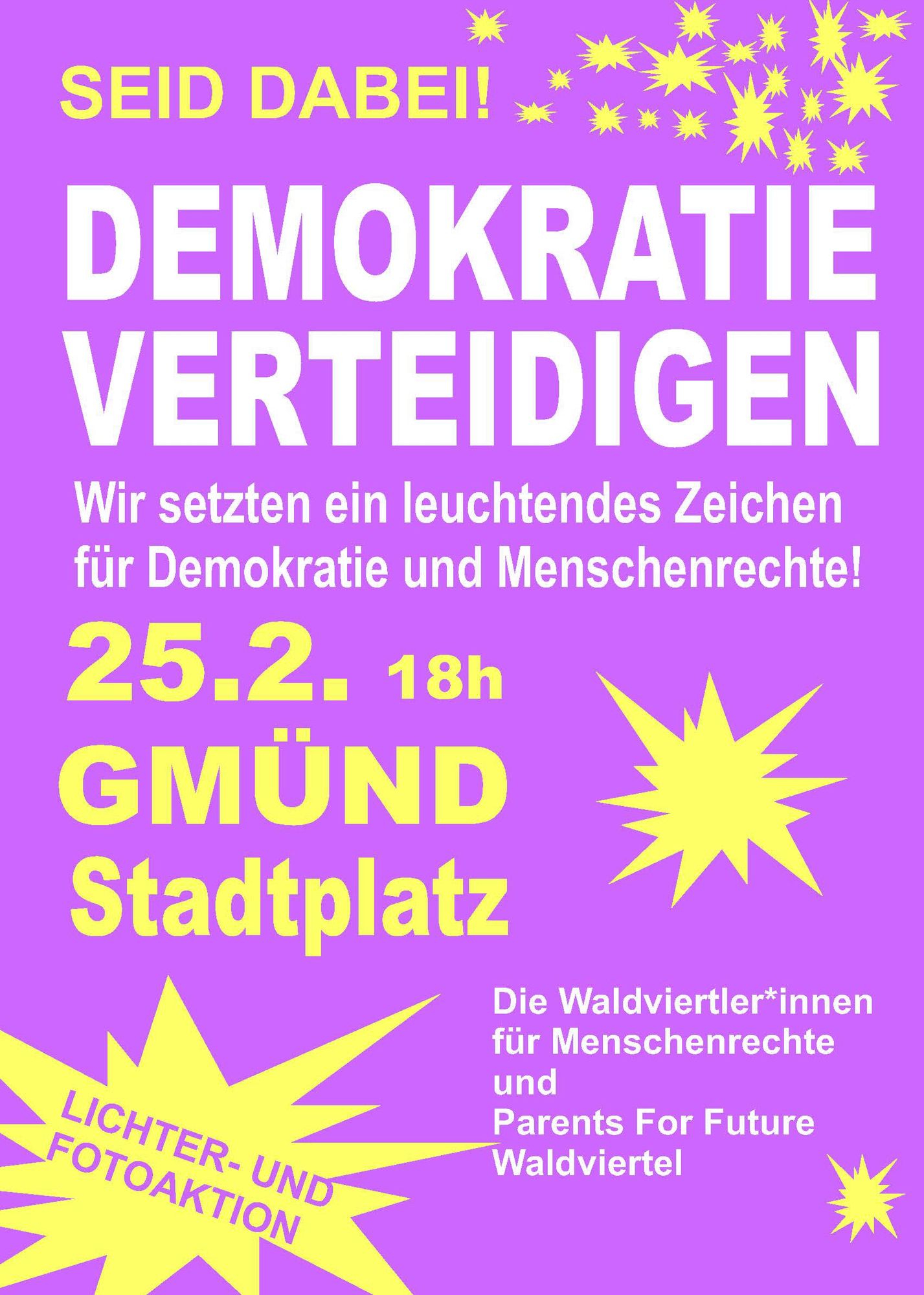 25.2. 18h Demokratie verteidigen! In Gmünd Niederösterreich!