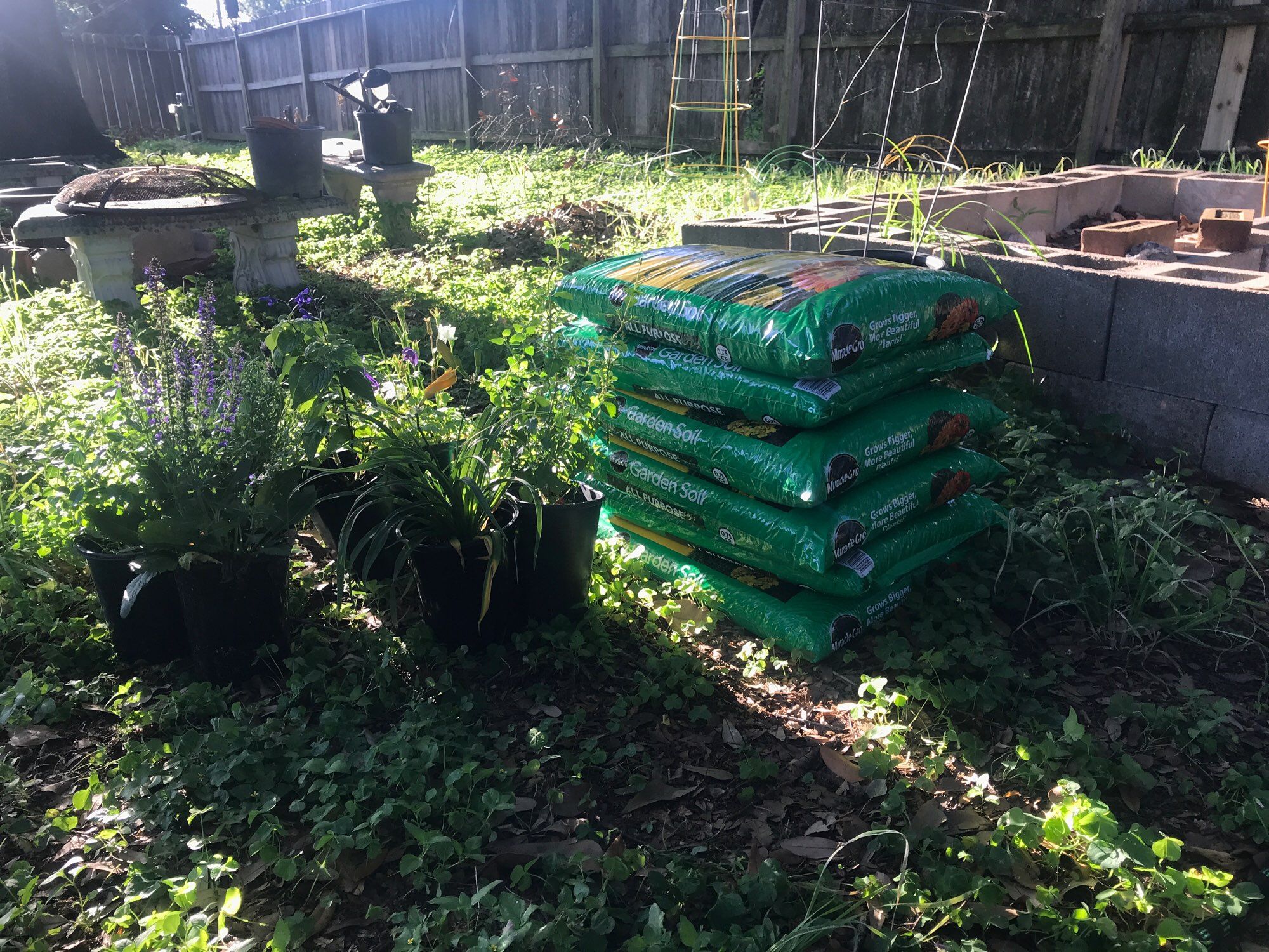 Garden soil sitting in front of a raised bed garden along with a variety of perennials to be planted.