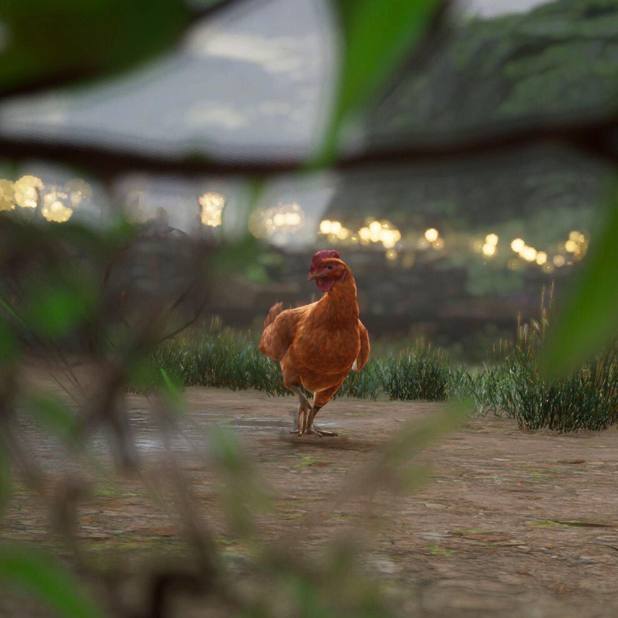 A close-up of a chicken walking in the grassy area of Hogwarts Legacy, framed by blurred leaves in the foreground.