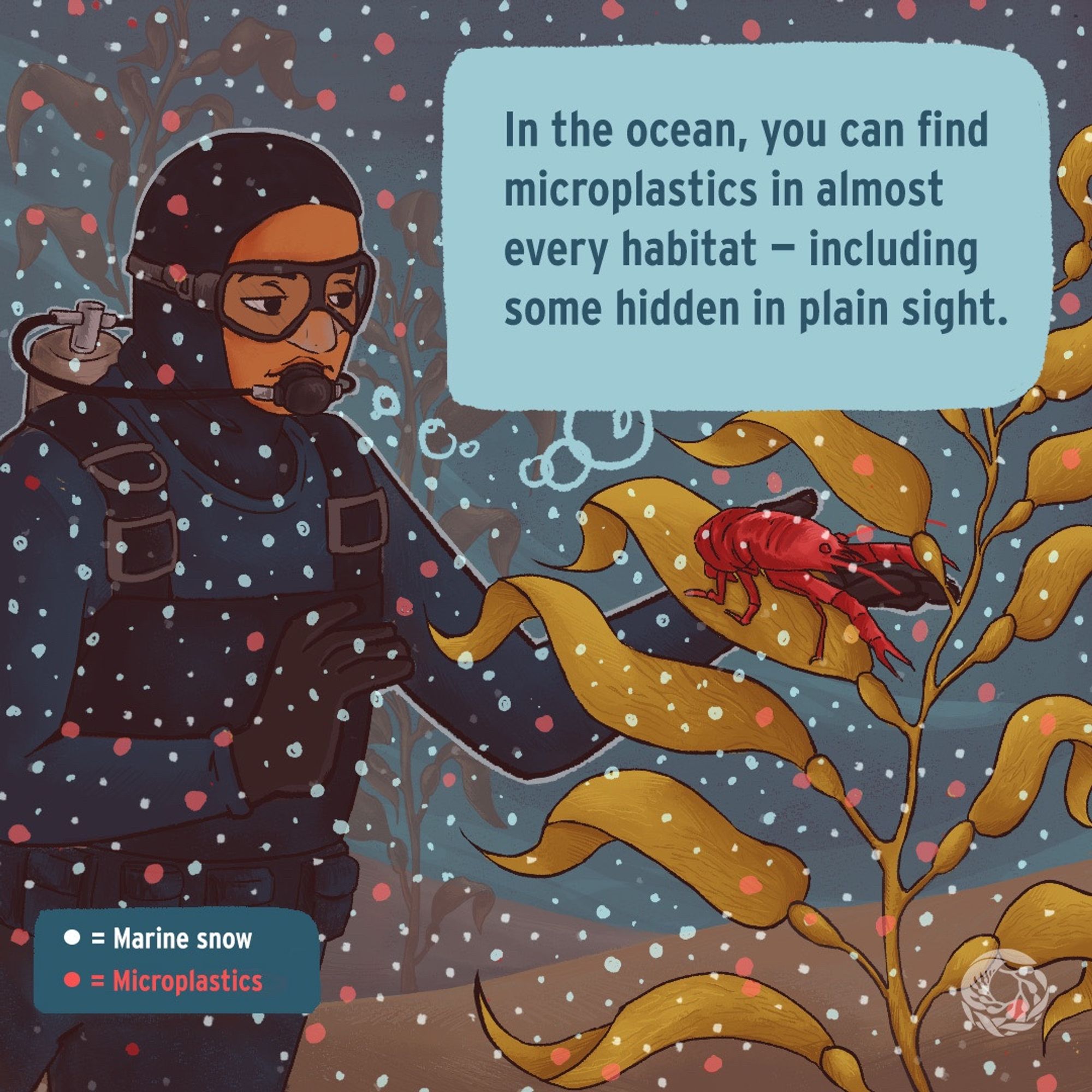 An illustration of a diver underwater observing a bright red kelp crab that is standing on a long string of golden yellow giant Kelp. A polka dot-like pattern is overlayed the whole illustration, showcasing falling marine snow (in white dots) and microplastics (in dark pink dots). The exhaled bubbles from the diver’s diving mask turn into a speech bubble, located on the upper right corner of the illustration. The text on the speech bubble reads, “In the ocean, you can find microplastics in every habitat – including some hidden in plain sight.”