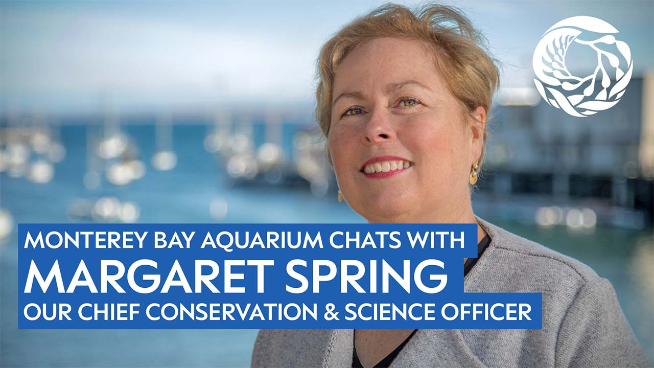 Woman in front of the Monterey Bay smiling proudly