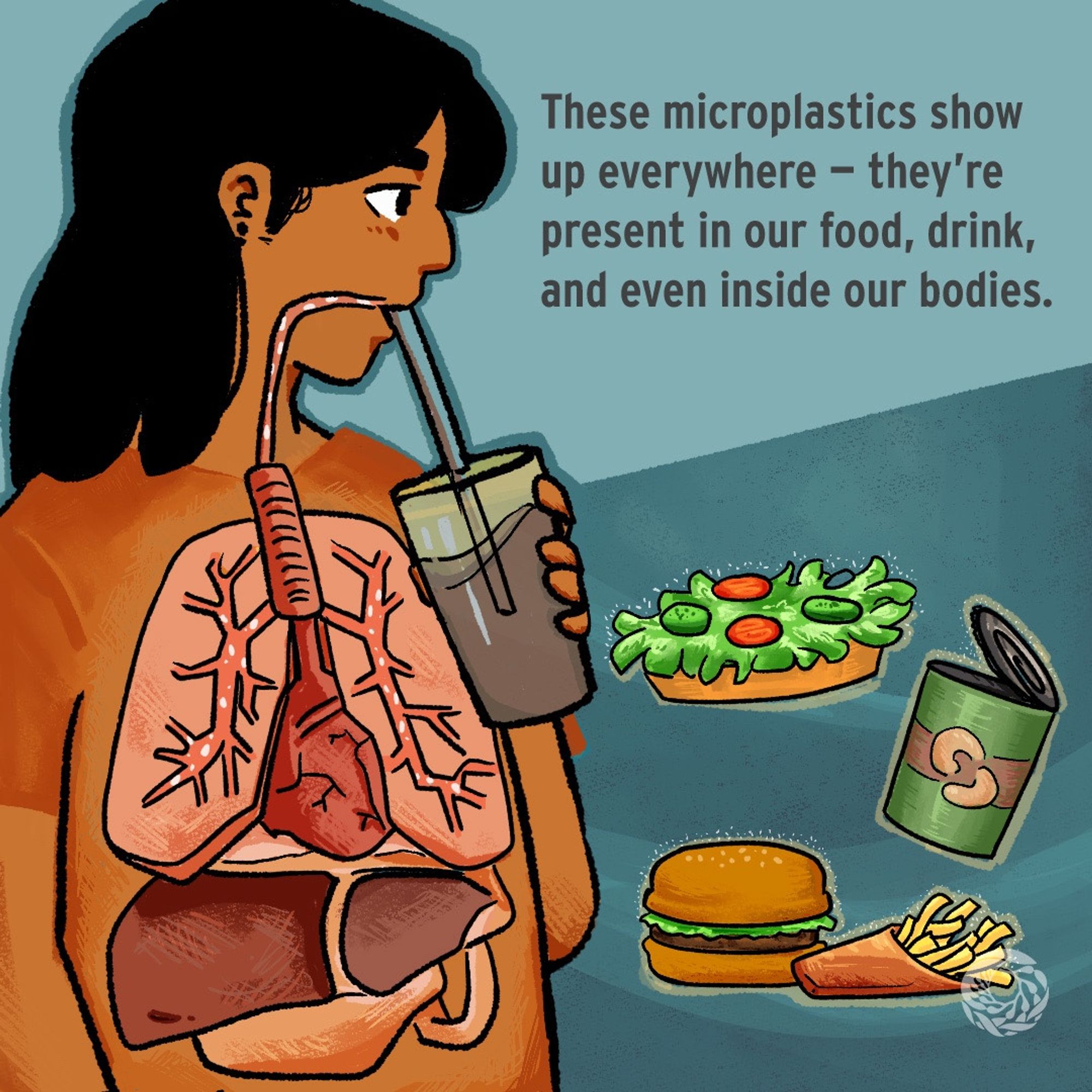 Figure of a person drinking from a cup with a straw covers the left side of the image. The human respiratory system as well as the stomach and liver are illustrated over the figure’s t-shirt, noting how microplastics are entering the person’s body as she drinks from the cup. On the lower right hand side, there’s isolated illustrations of a salad, burger and fries, as well as a can of beans. The text on the upper right corner reads, “These microplastics show up everywhere – they’re present in our food, drink, and even inside our bodies.”