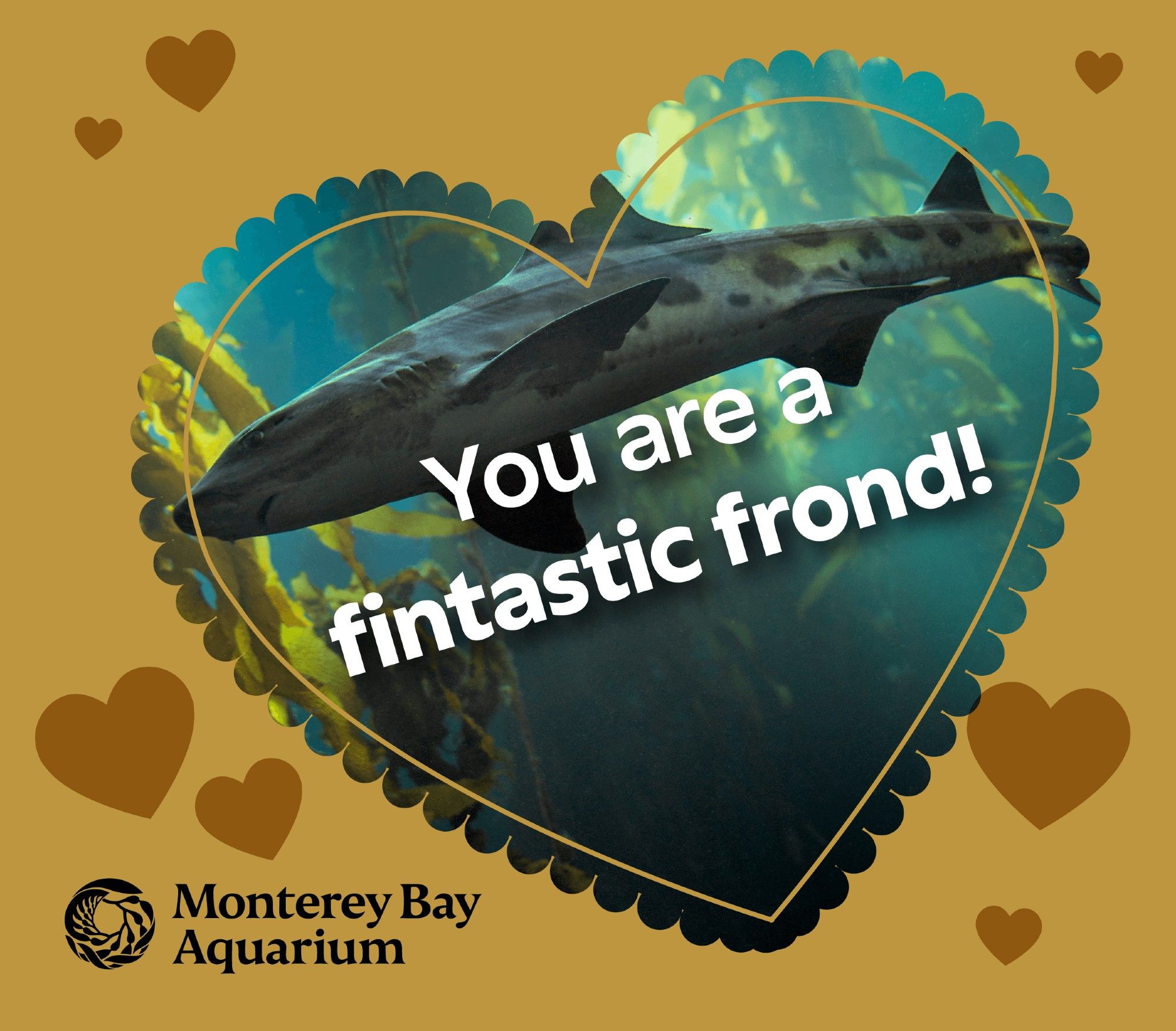 A heart-shaped Valentine’s Day card reads “You are a fintastic frond!” and features a leopard shark.