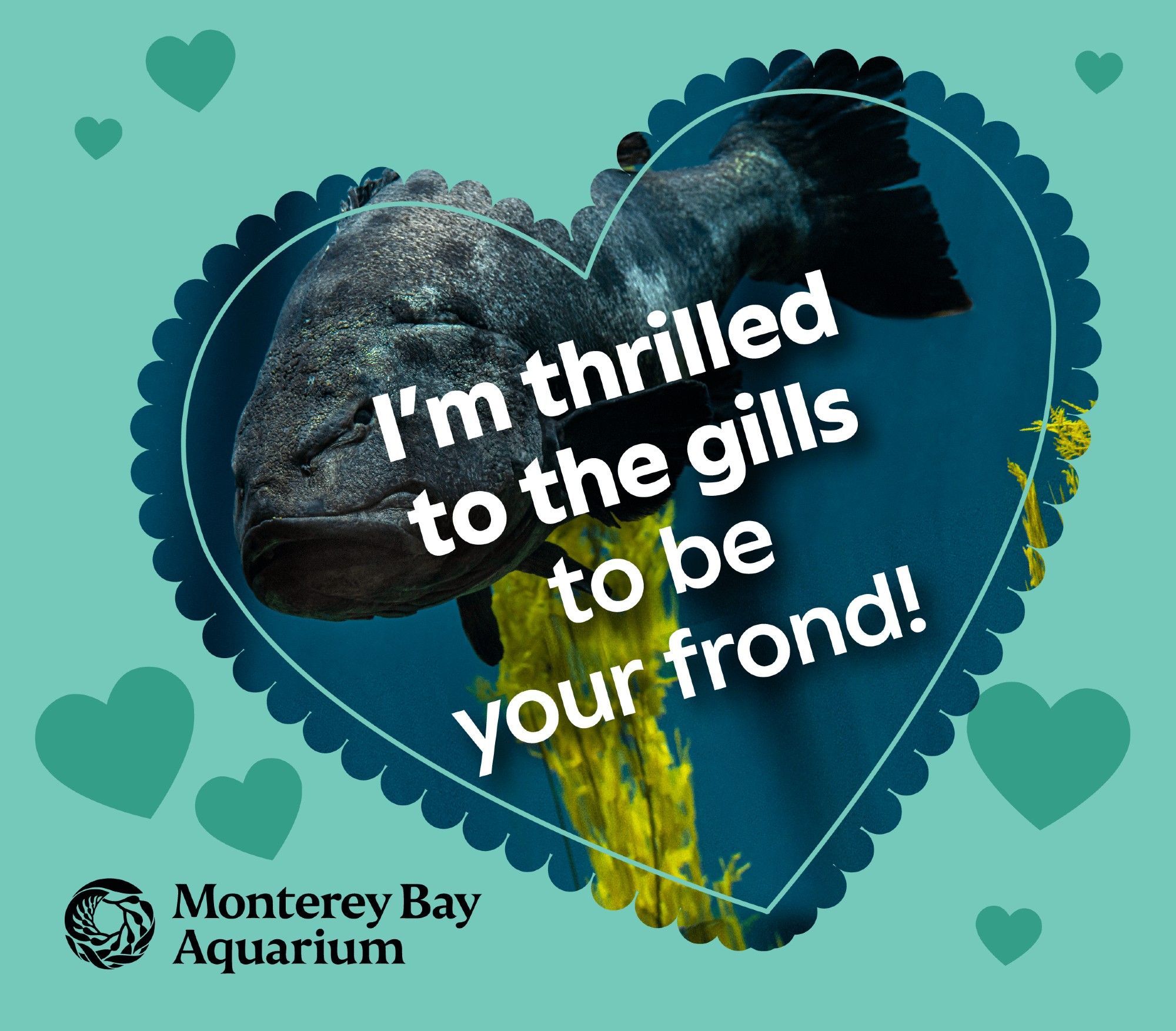 A heart-shaped Valentine’s Day card reads “I’m thrilled to the gills to be your frond!” and features a giant sea bass.