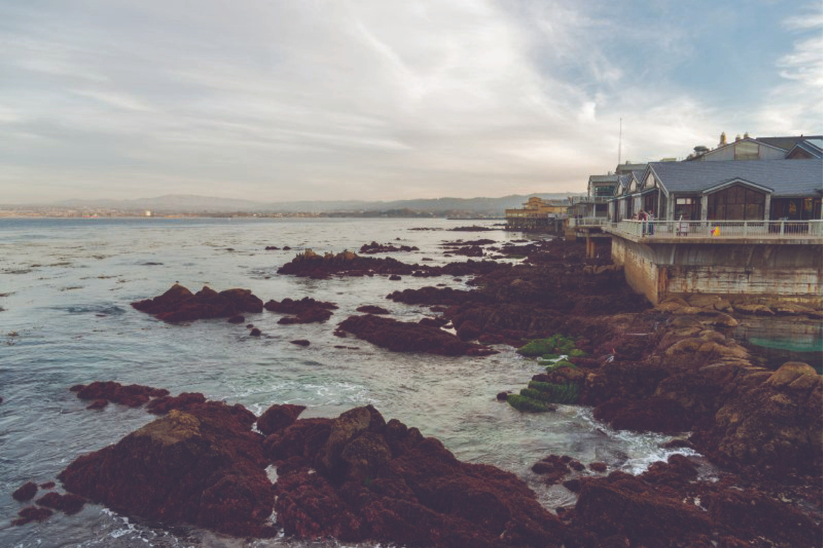 Low tide off the back deck of the Monterey Bay Aquarium, where the lower water level of the ocean exposes several rocky outcroppings covered in red algae.