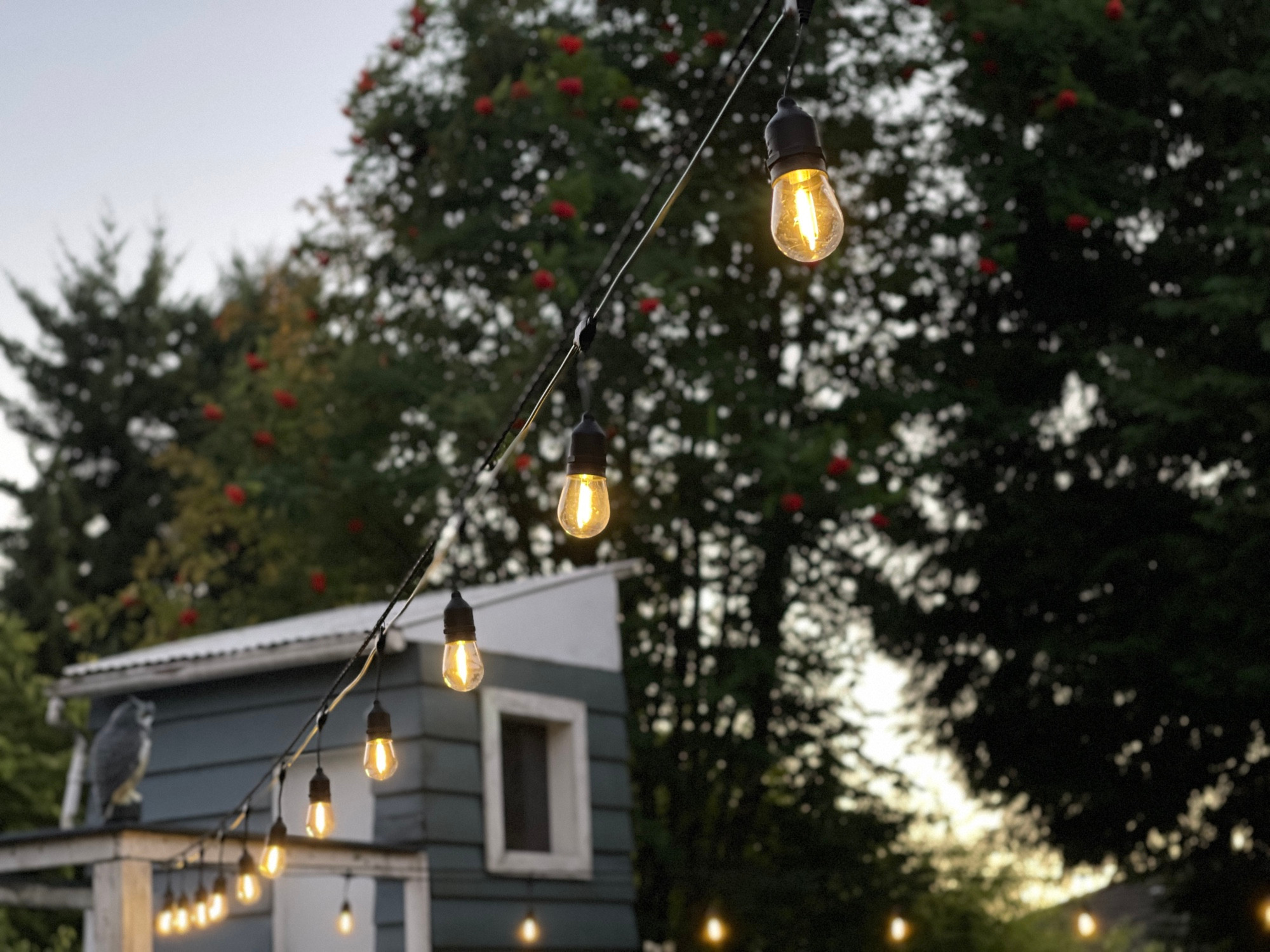 String lights as the sun is setting, and the playhouse from our backyard in the background 