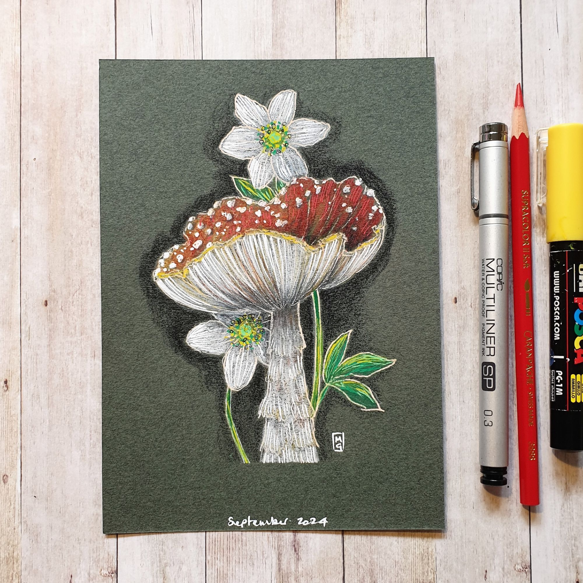 Original drawing - Fly Agaric Mushroom with Wood Anemone
A colour drawing of a red and white Fly Agaric Mushroom with Wood Anemone, a little white wildflower.
Materials: colour pencil, mixed media, acid free dark green pastel paper
Width: 5 inches
Height: 7 inches