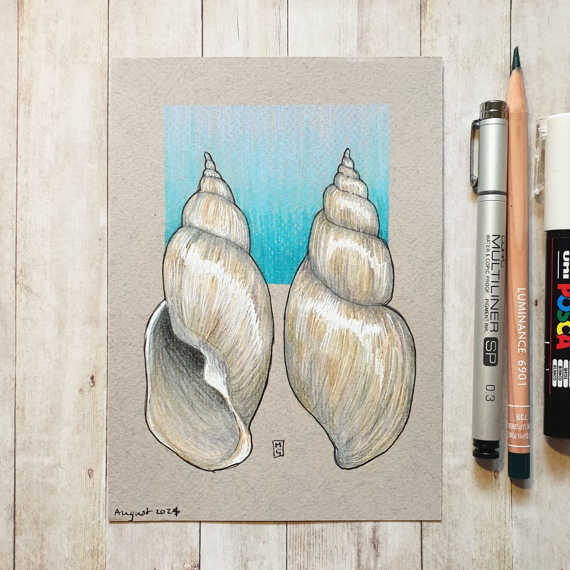 Original drawing - Two Views of a Shell
A colour drawing of a sea shell, showing both sides of the shell with a blue background.
Materials: colour pencil, mixed media, acid free grey pastel paper
Width: 5 inches
Height: 7 inches