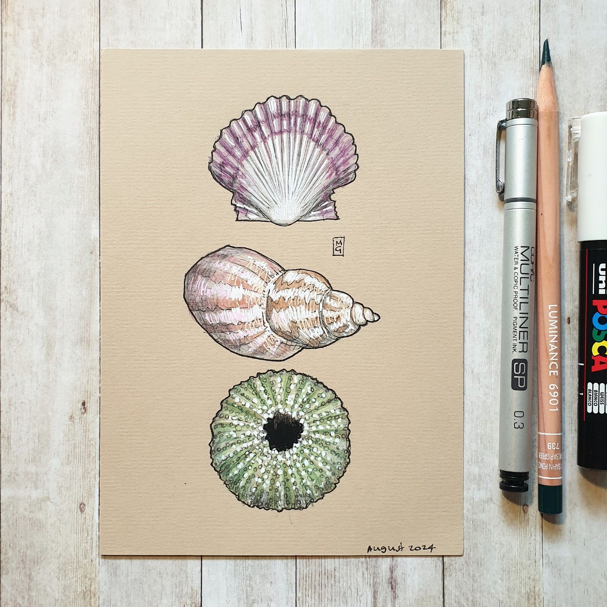 Original drawing - Three Shells
A colour drawing of three different sea shells with different shapes and colours.
Materials: colour pencil, mixed media, acid free beige pastel paper
Width: 5 inches
Height: 7 inches